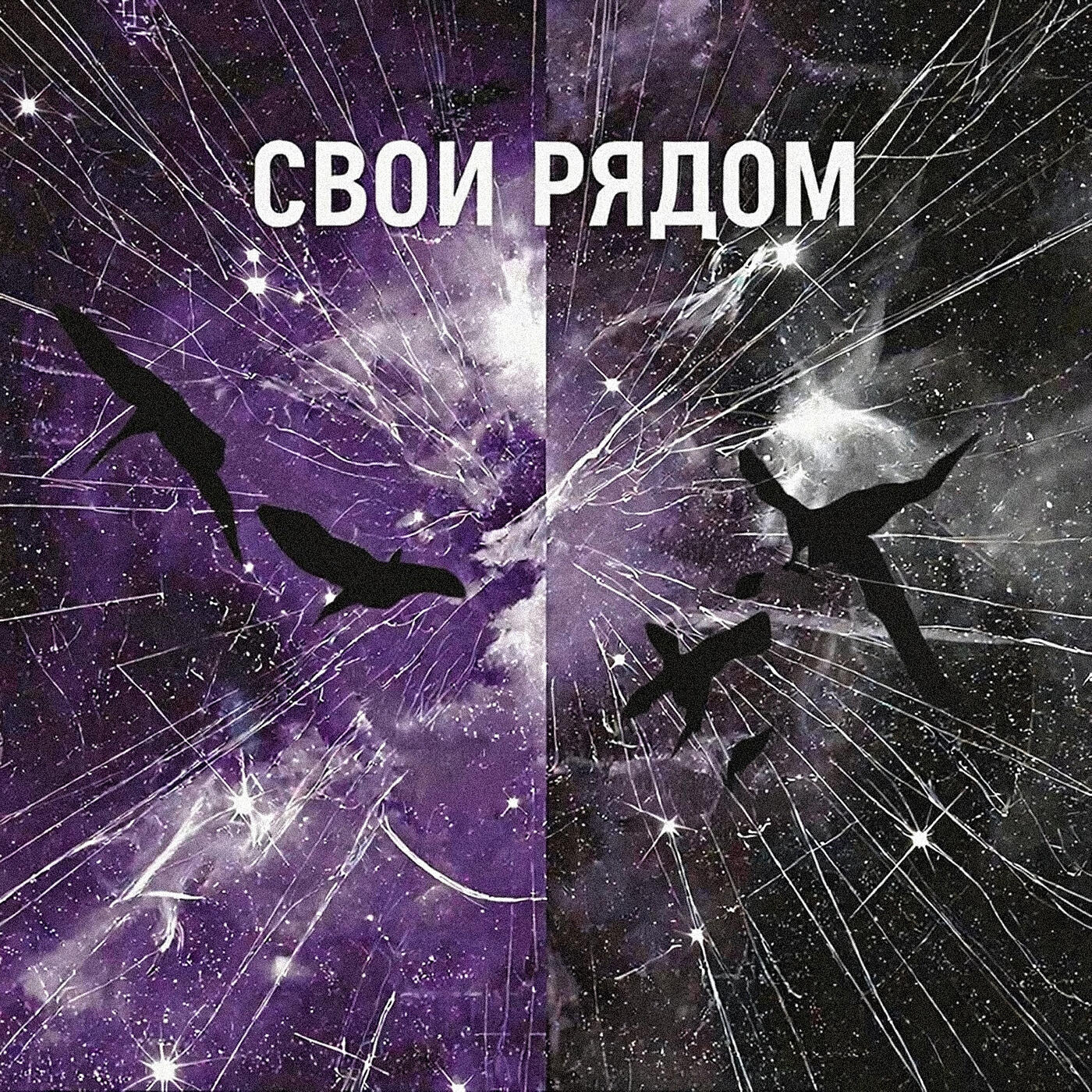 Свои рядом