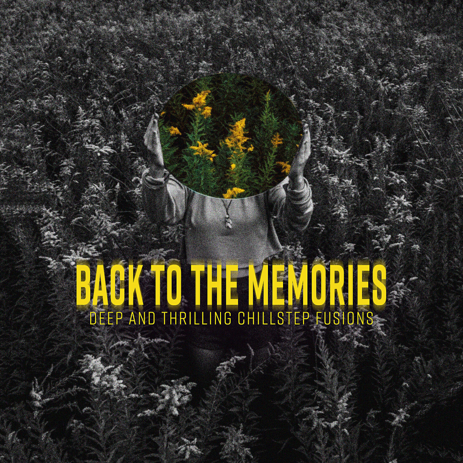 Релиз Back to the Memories: Deep and Thrilling Chillstep Fusions