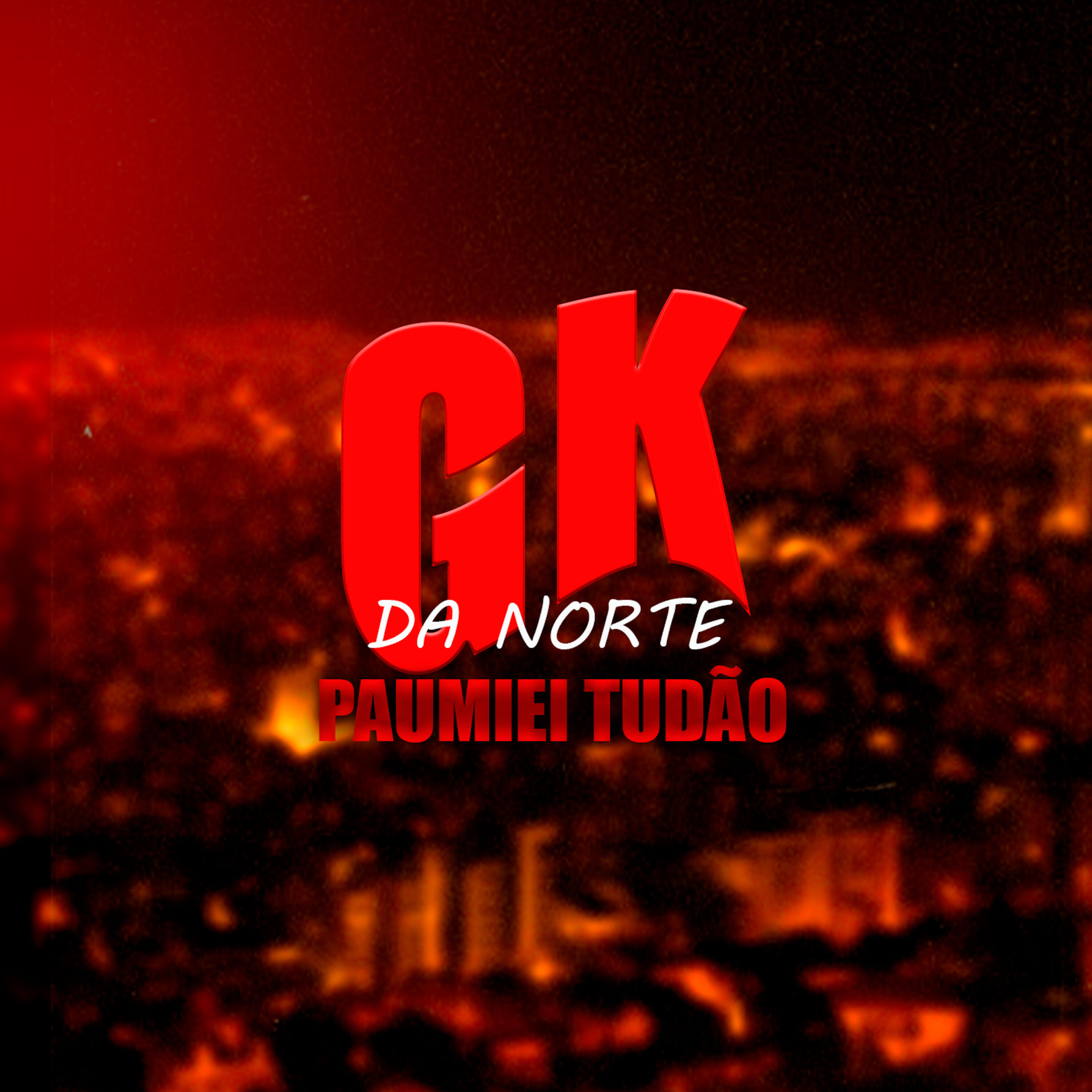 Скачать песню Mc gk da norte, DJ Igor do PB - Paumiei Tudão бесплатно в MP3 для Android и iOS