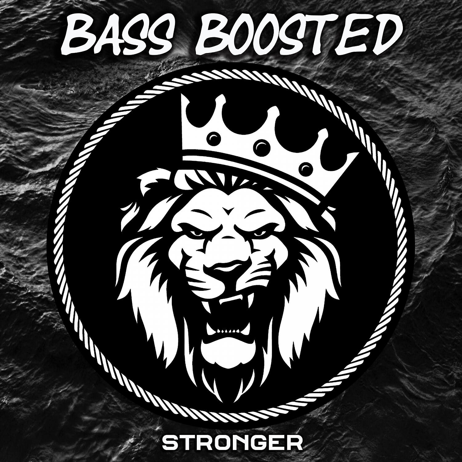Постер альбома Stronger