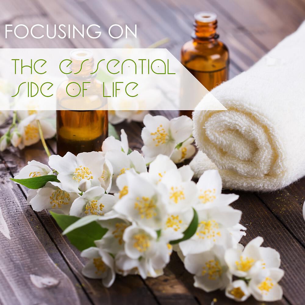 Релиз Focusing on the Essential Side of Life