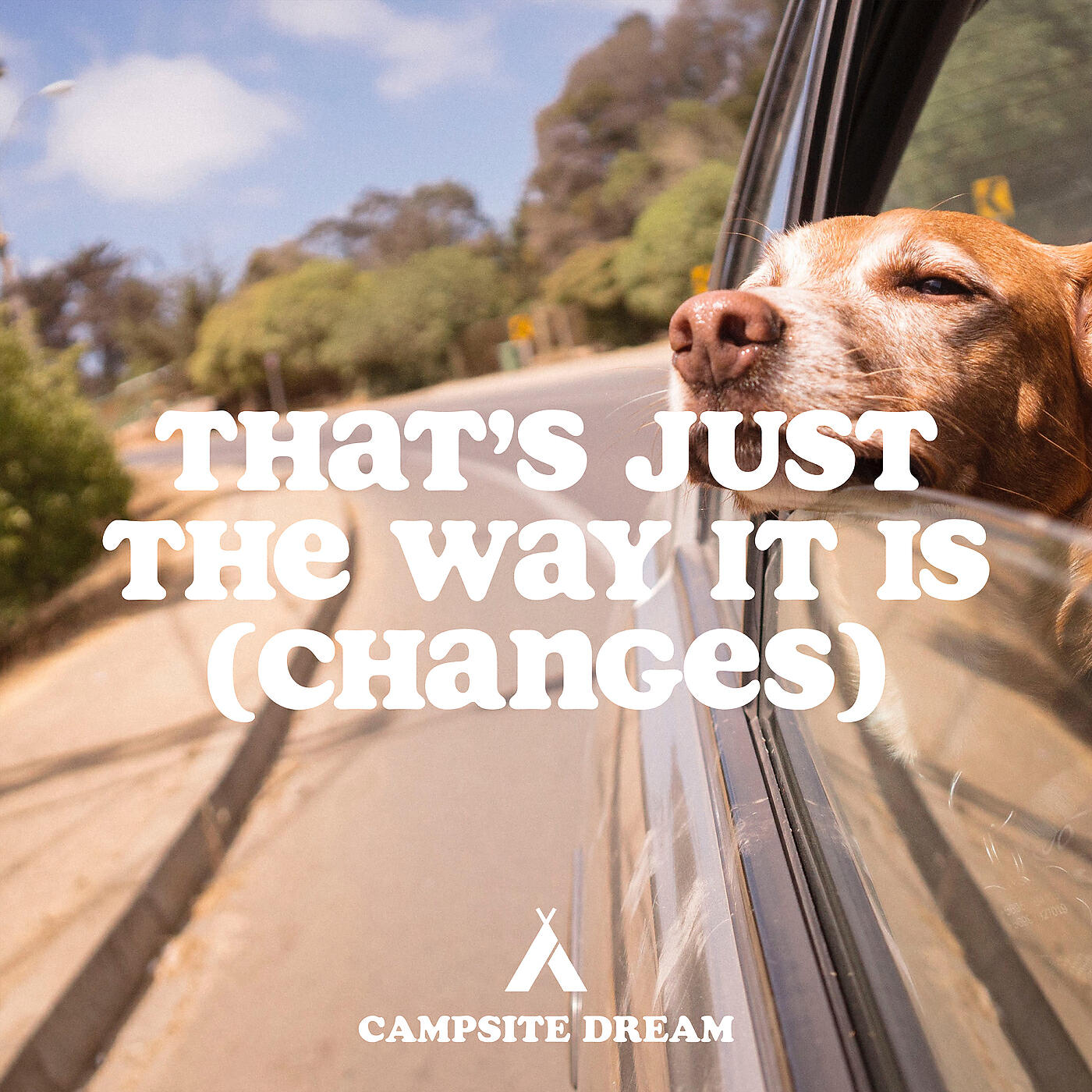 Релиз That's Just The Way It Is (Changes)