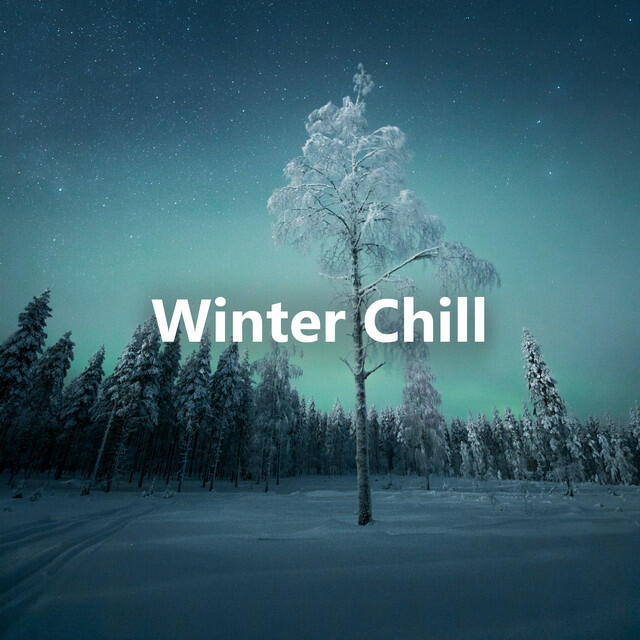 Постер альбома Winter Chill