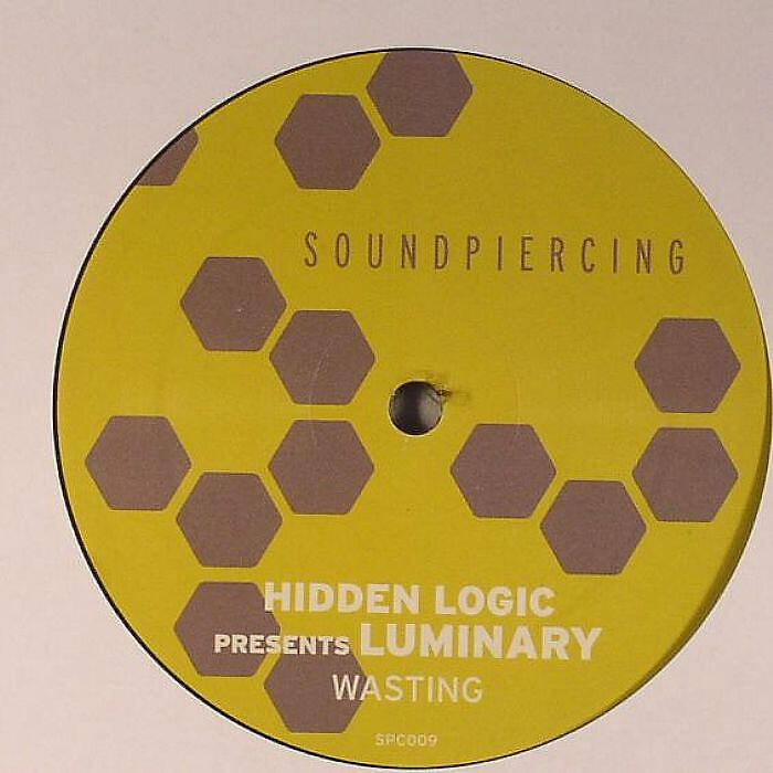Hidden Logic pres. Luminary