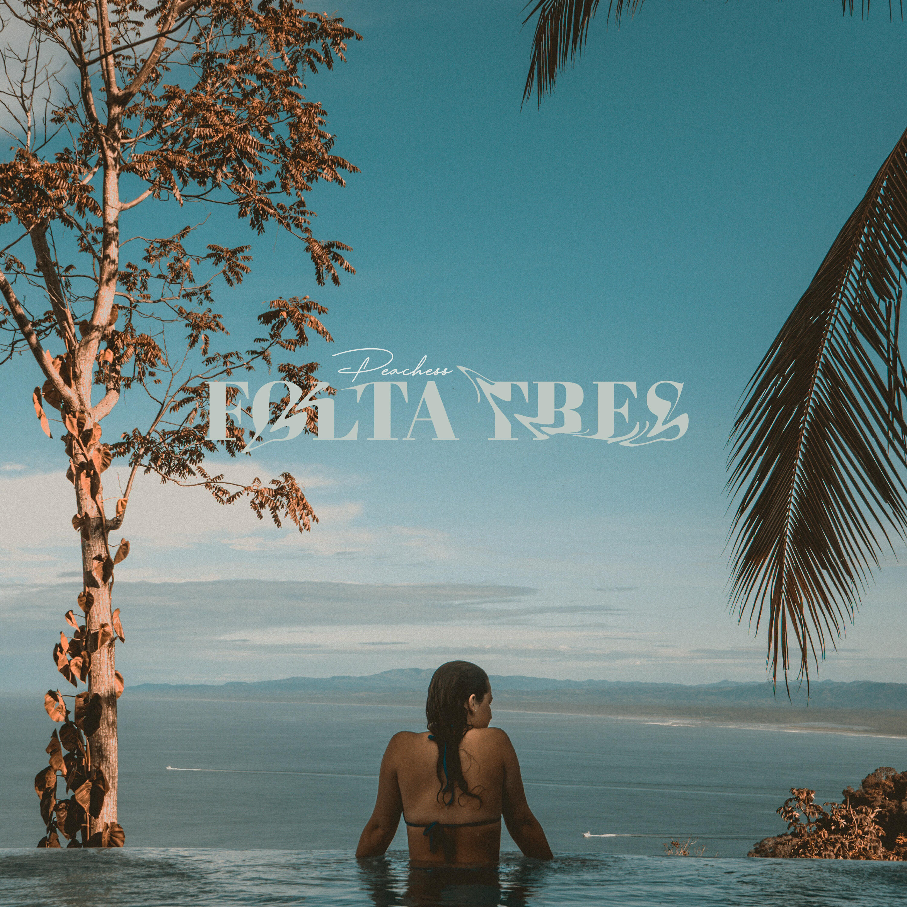 Релиз Peachess