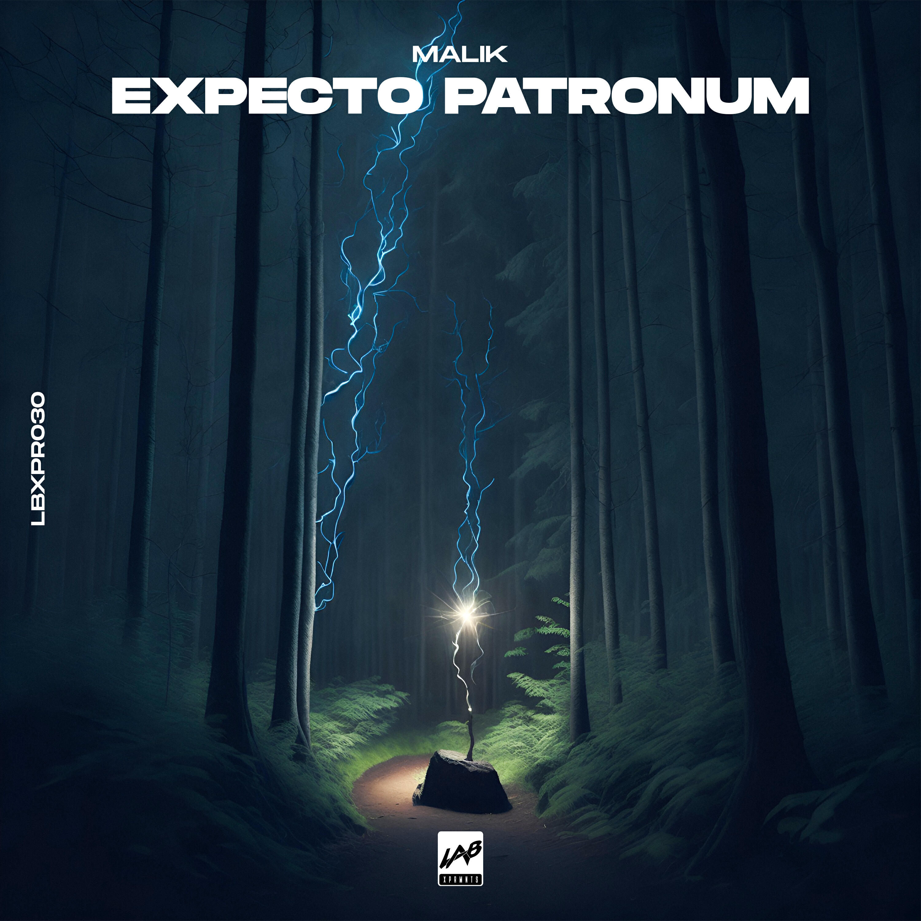 Релиз Expecto Patronum