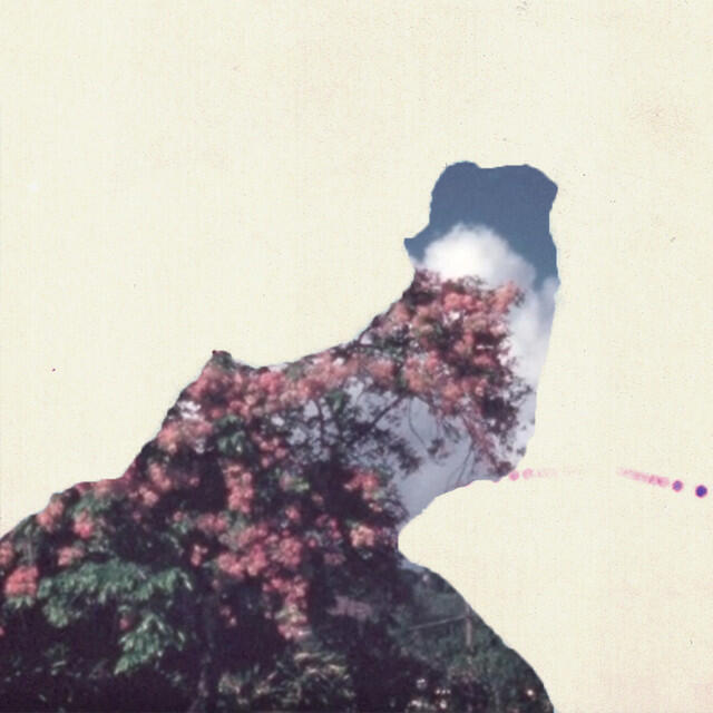 Трек El Lago - Remix