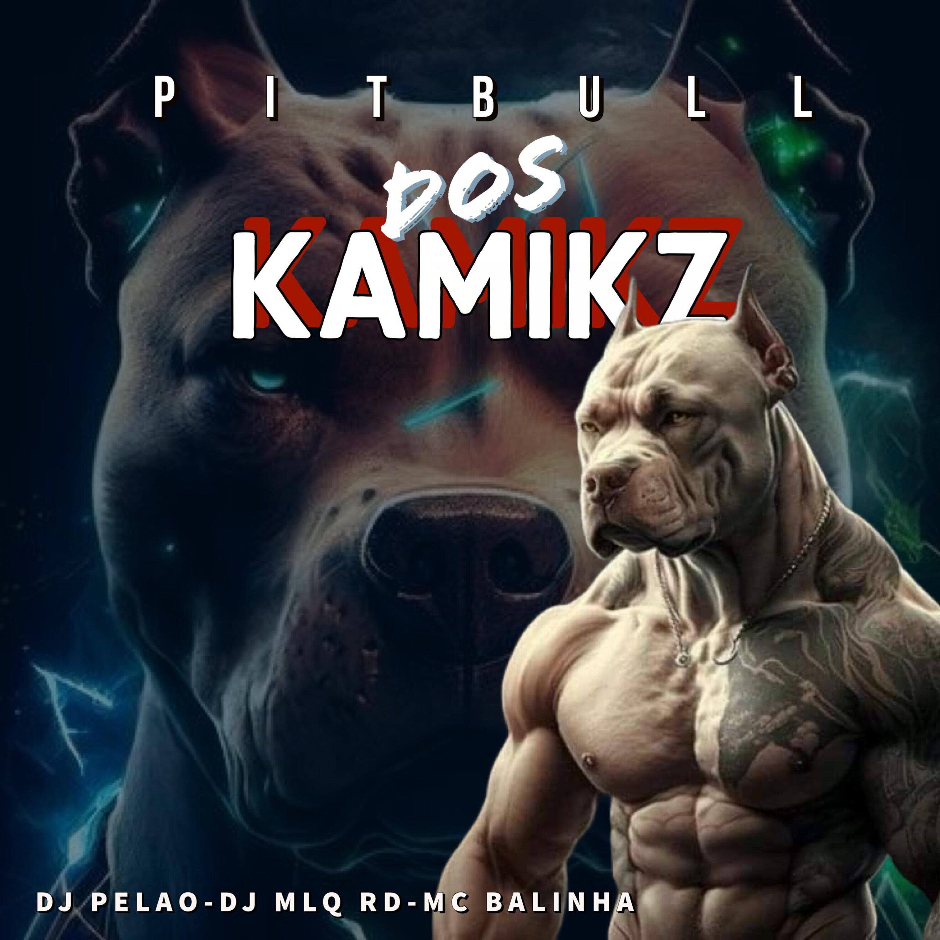 Релиз Pitbull dos Kamikz