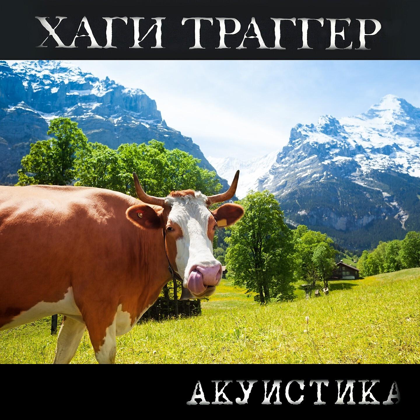 Релиз Акуистика