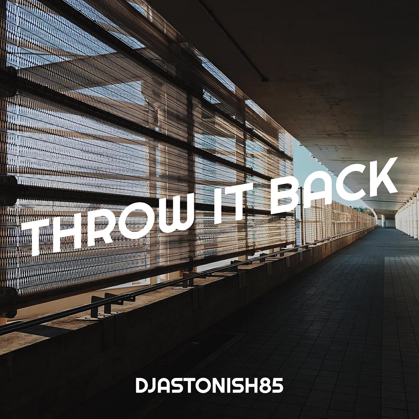 Постер альбома Throw It Back