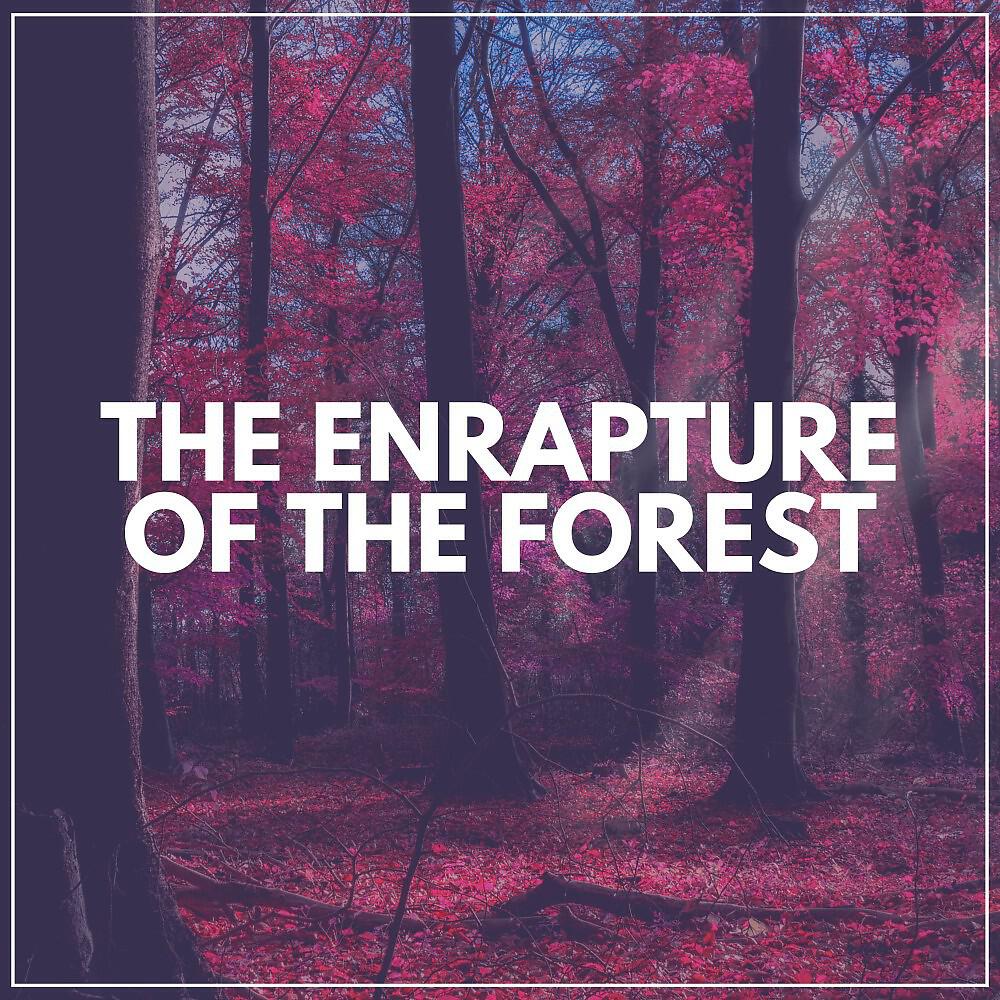 Релиз The Enrapture of the Forest