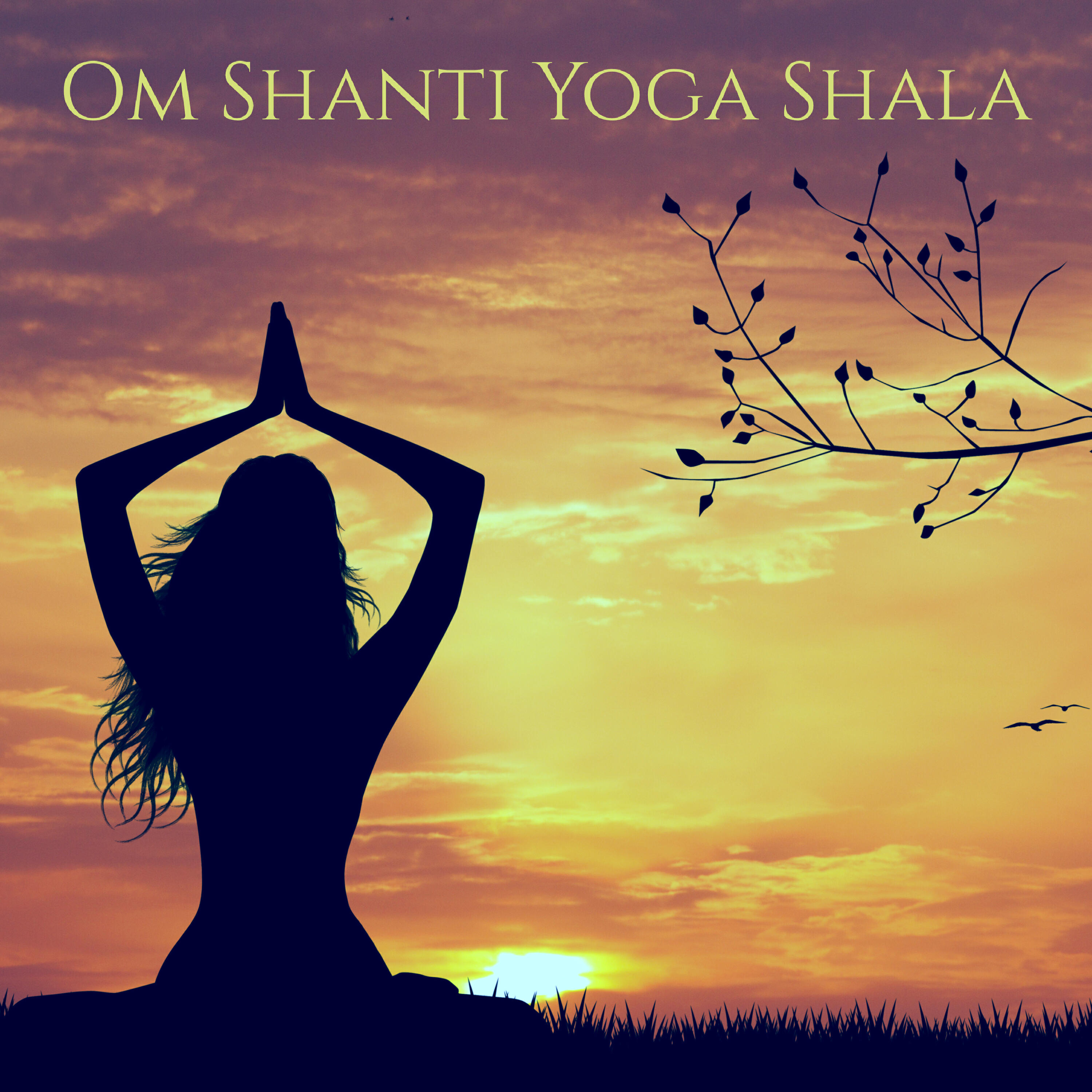 Релиз Om Shanti Yoga Shala – Inspiring and Healing