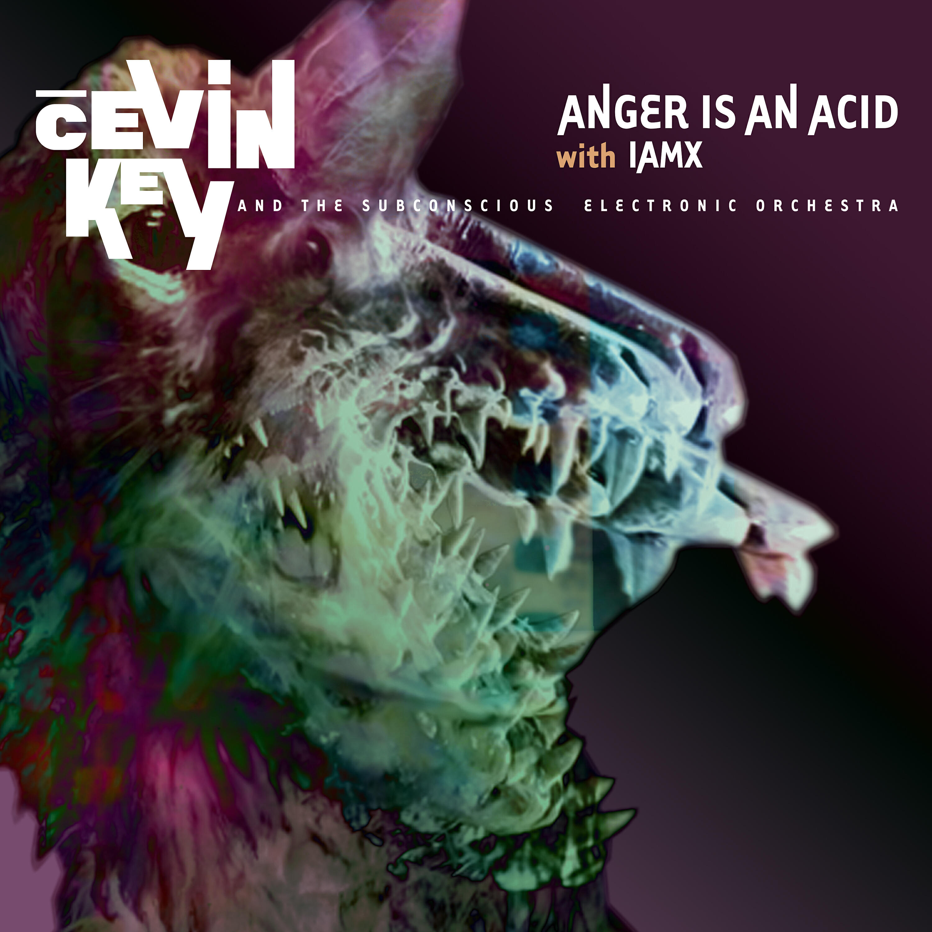 Релиз Anger is an Acid