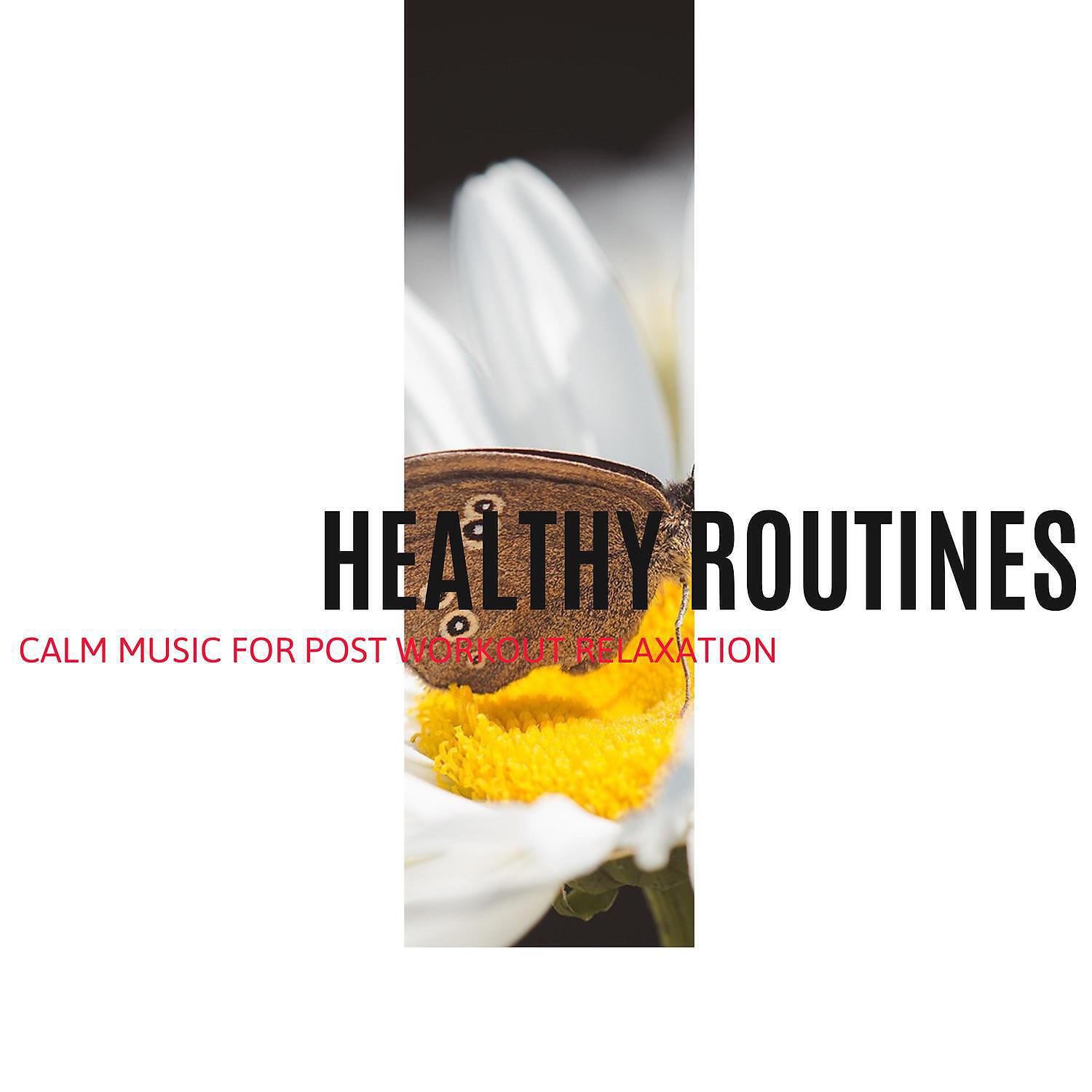 Релиз Healthy Routines - Calm Music for Post Workout Relaxation