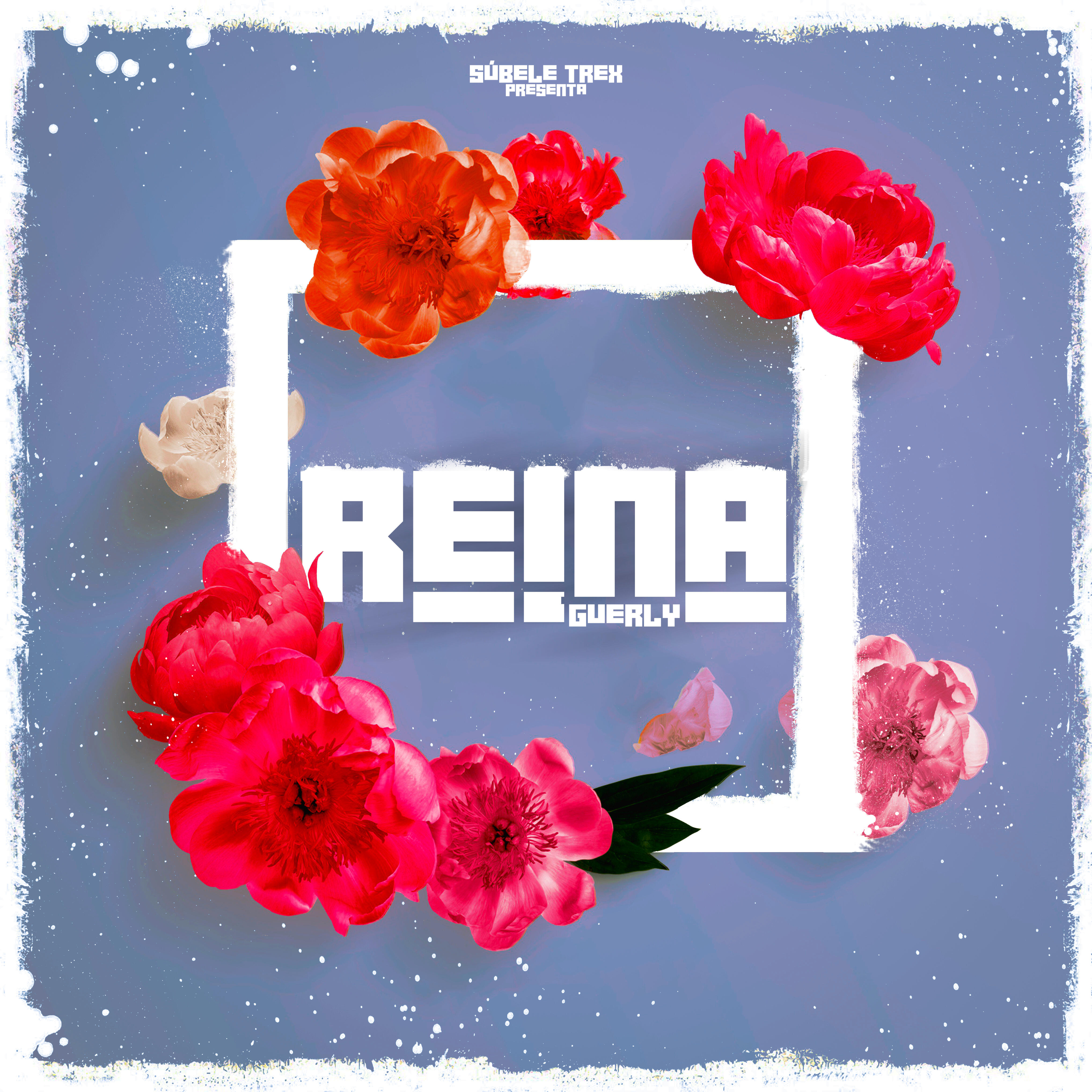 Релиз Reina