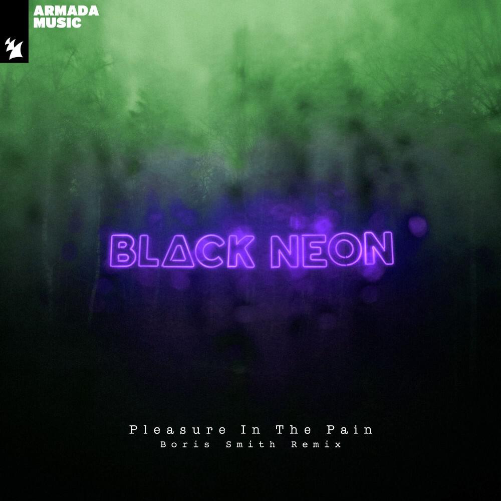 Релиз Pleasure in the Pain (Boris Smith Remix)