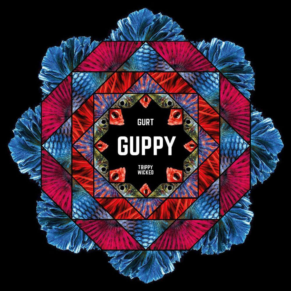 Релиз GUPPY