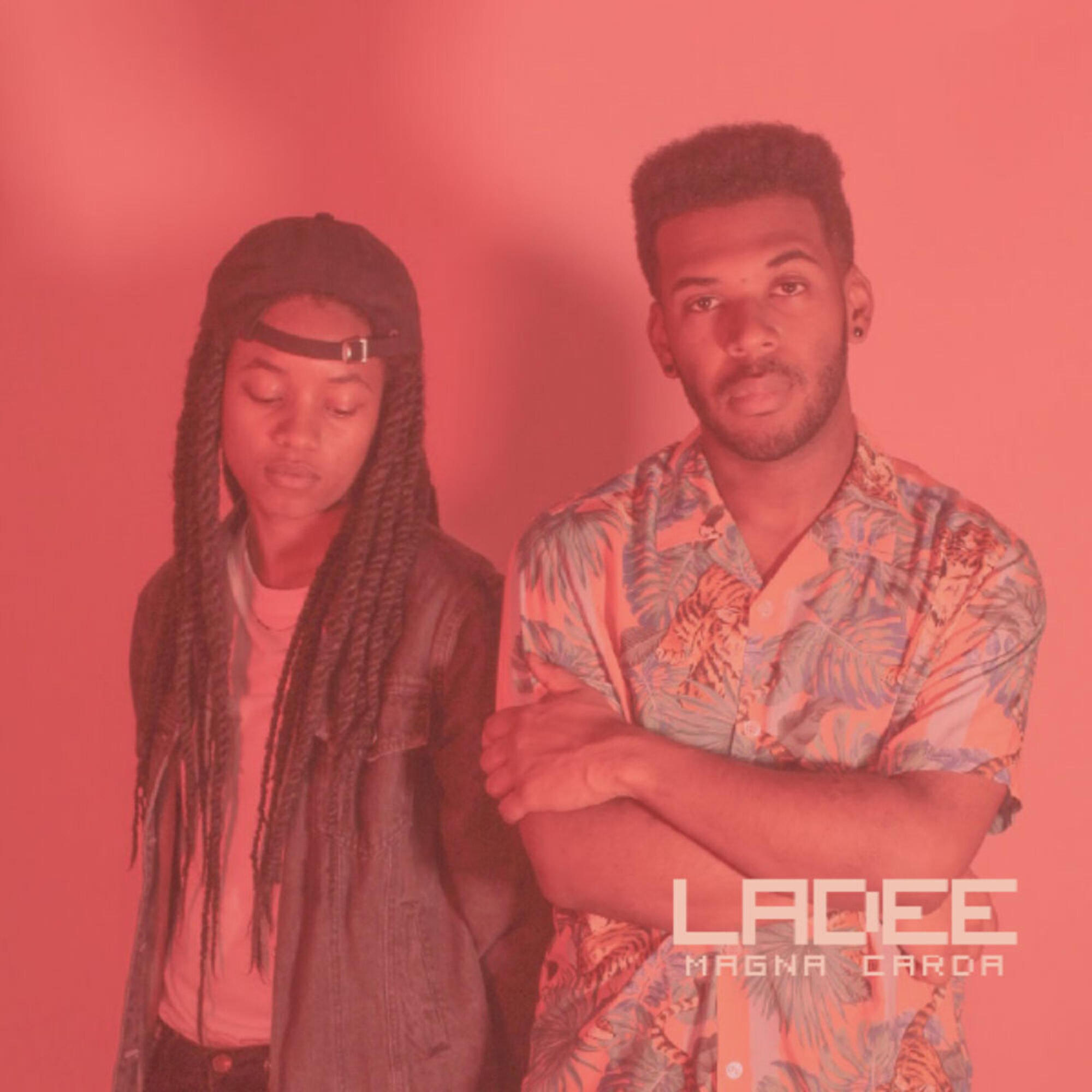 Релиз Ladee