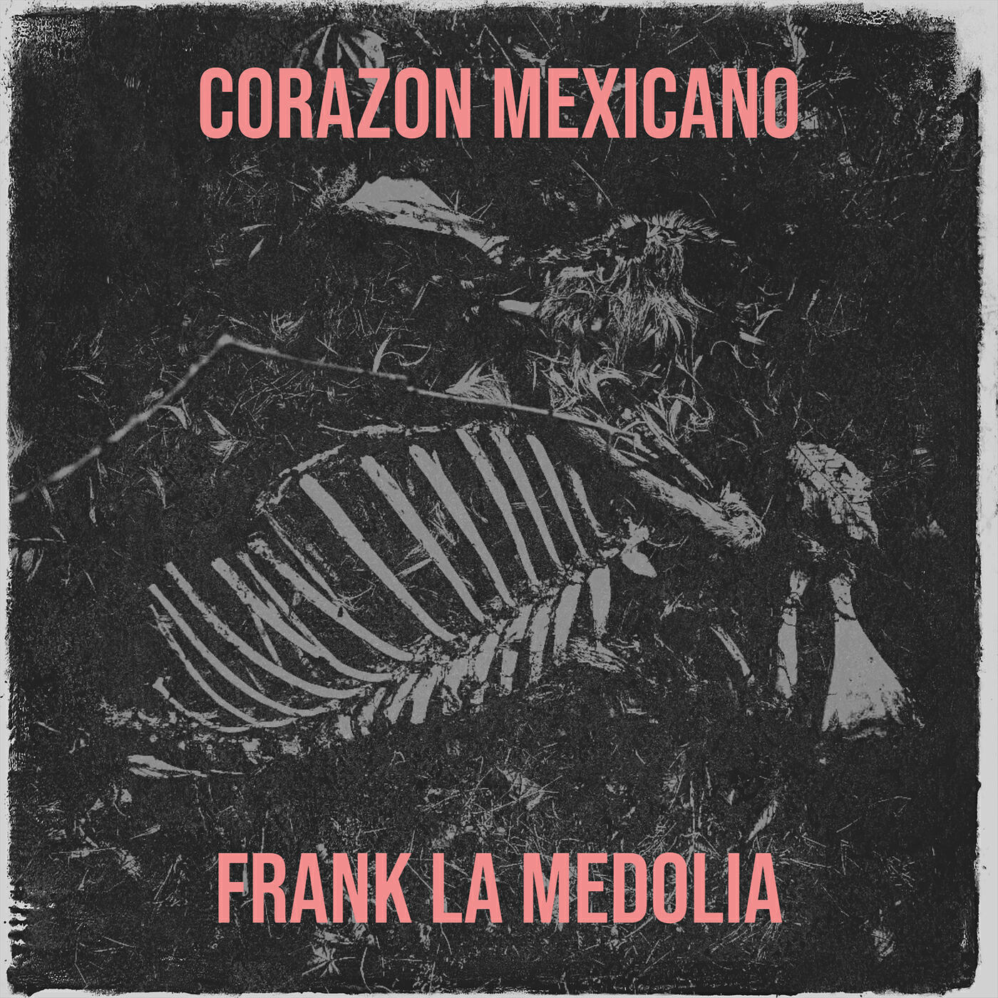 Frank la Medolia