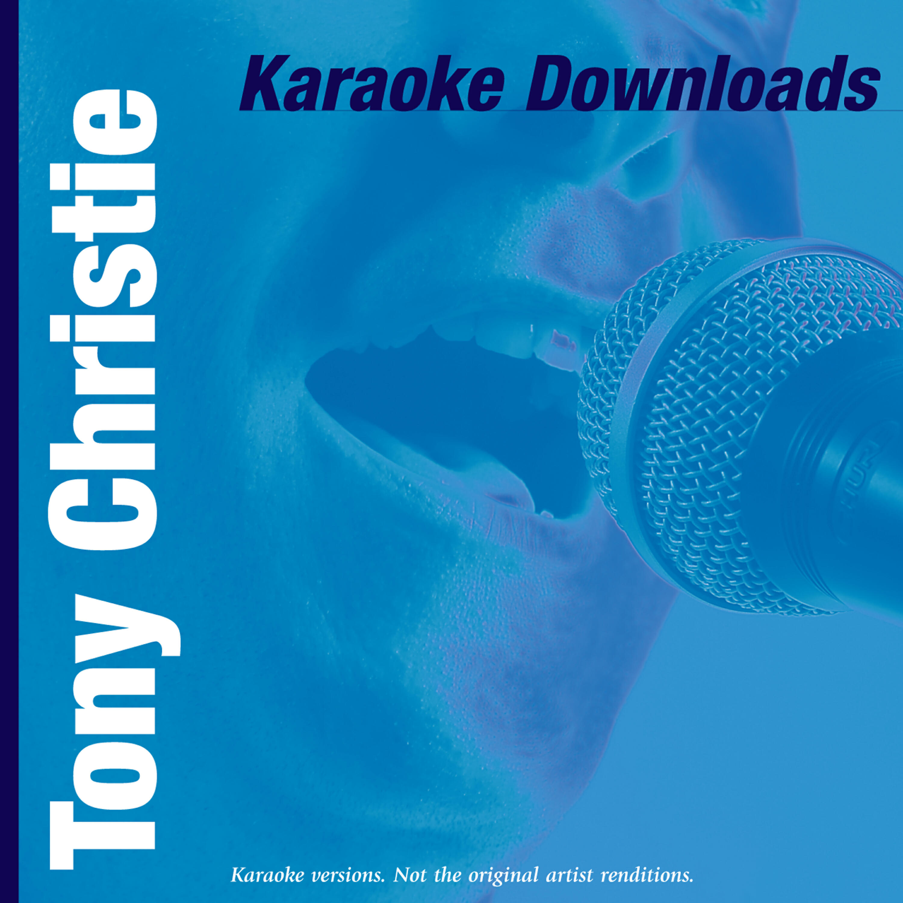Постер альбома Karaoke Downloads - Tony Christie