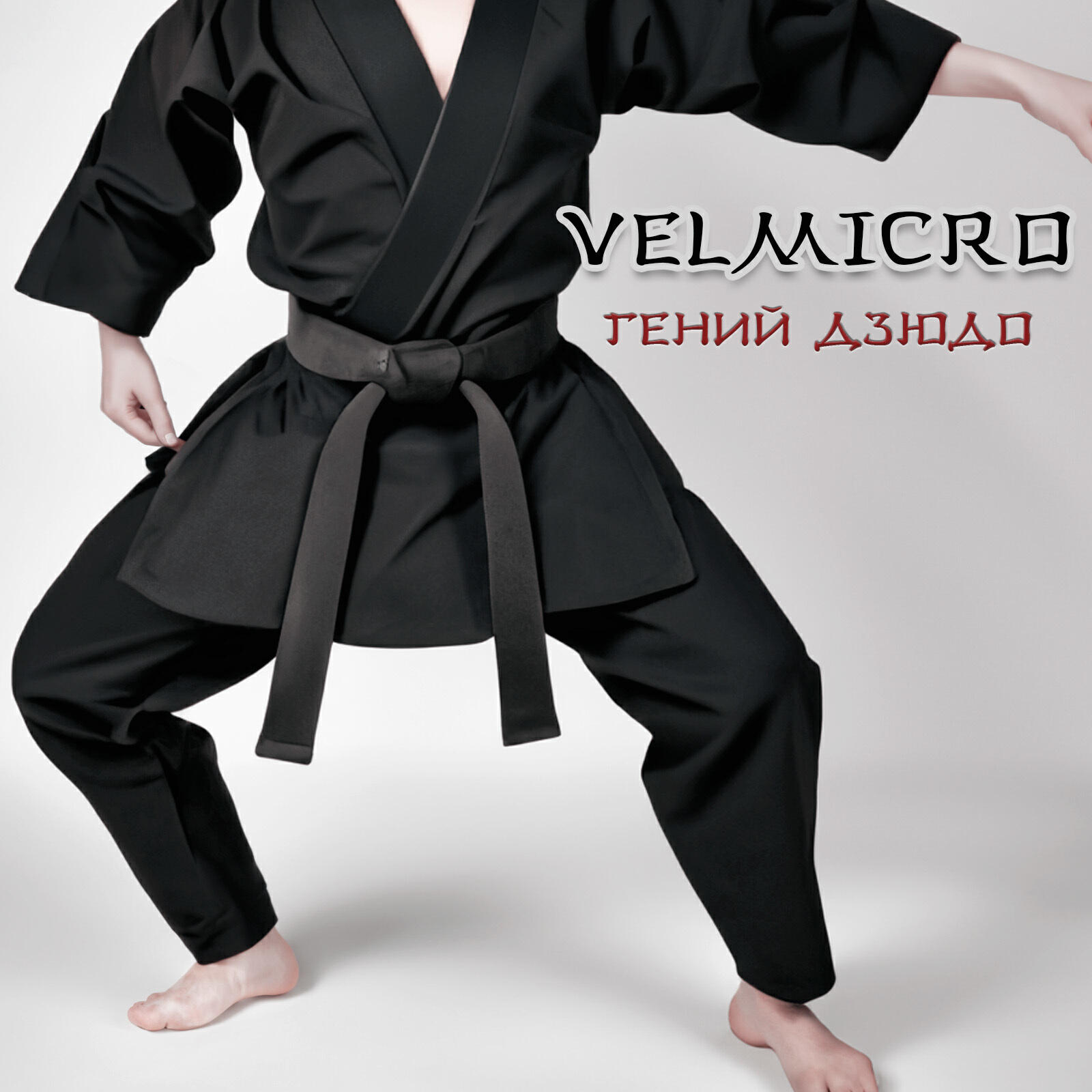 Постер альбома Гений дзюдо