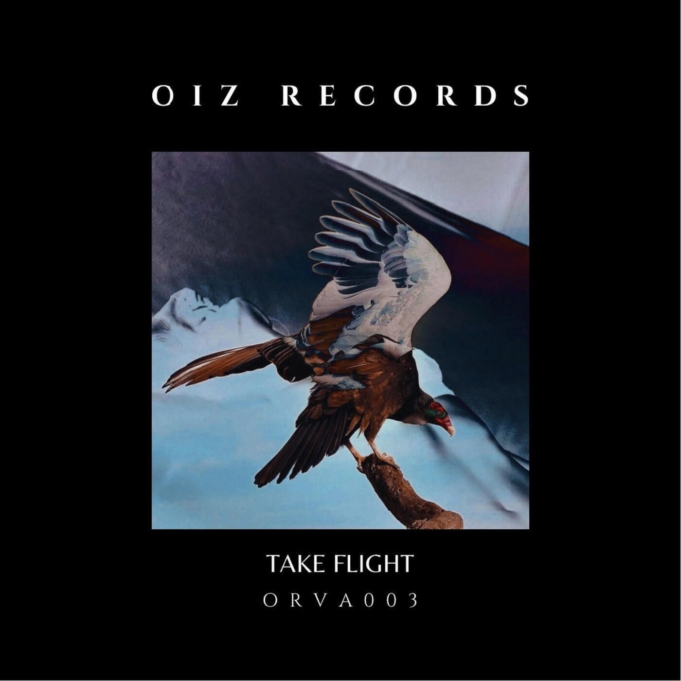 Релиз TAKE FLIGHT