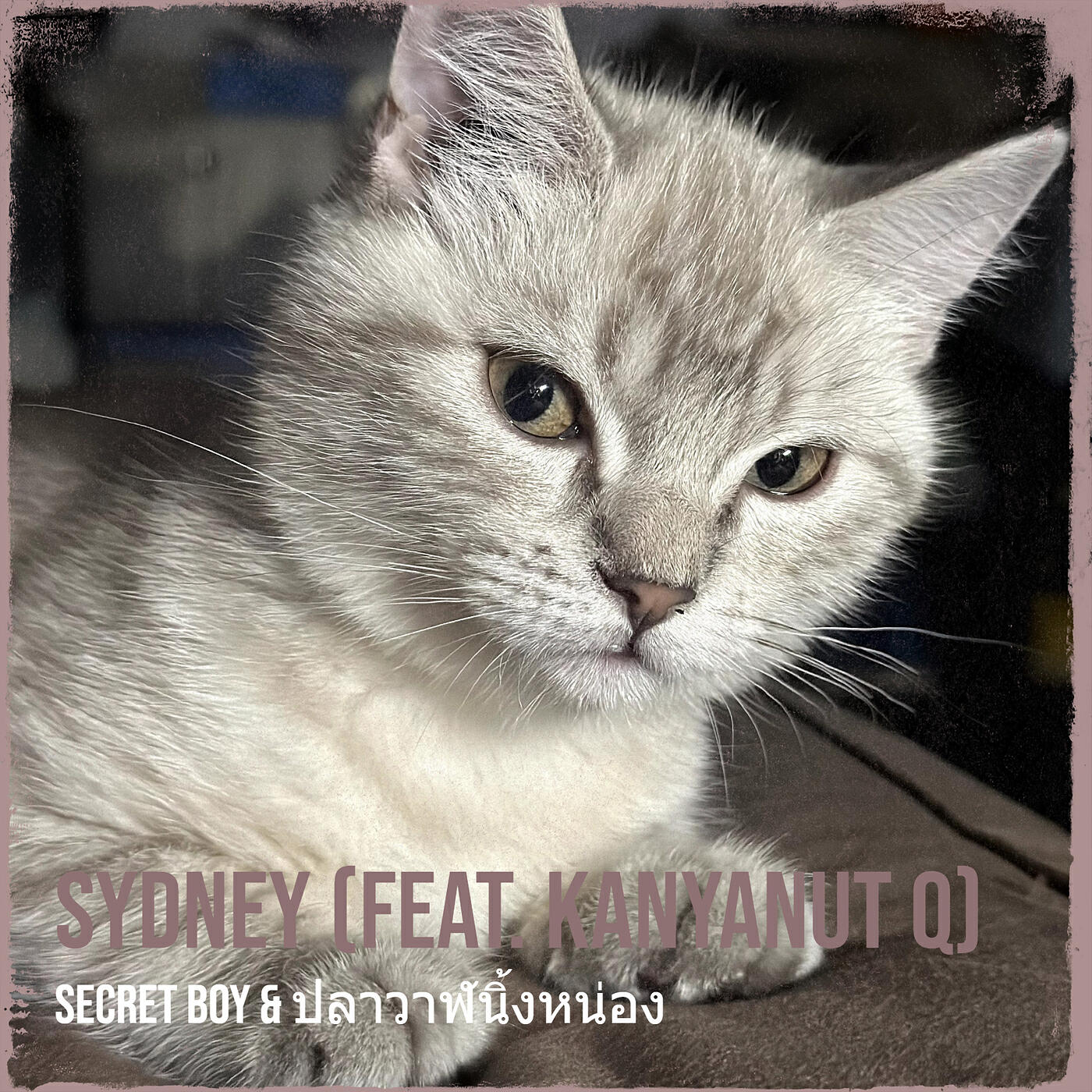 Релиз Sydney