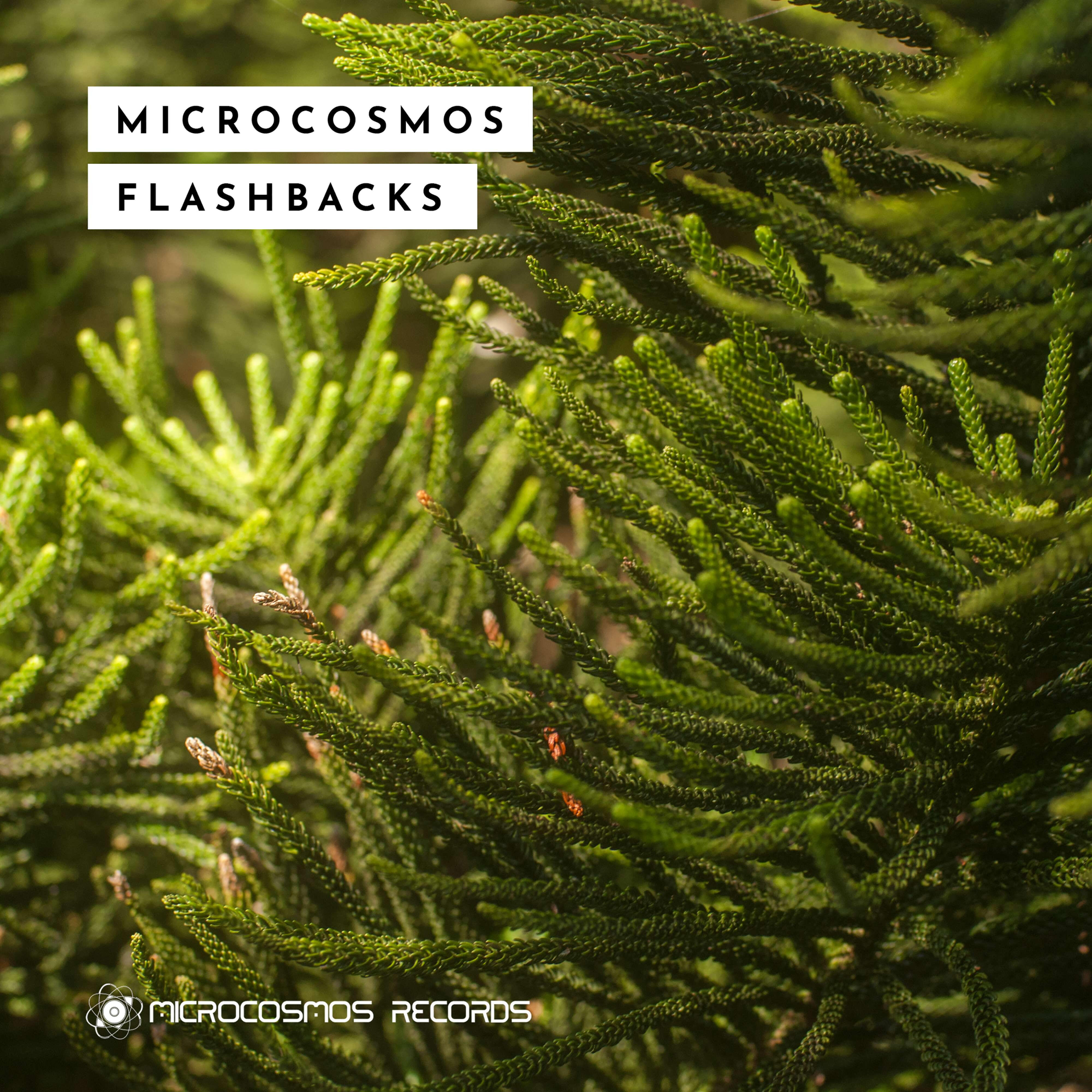 Релиз Microcosmos Flashbacks