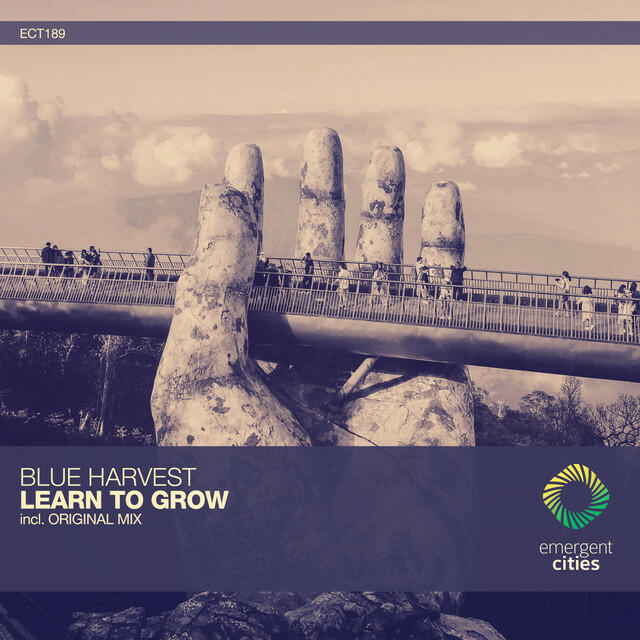 Релиз Learn to Grow