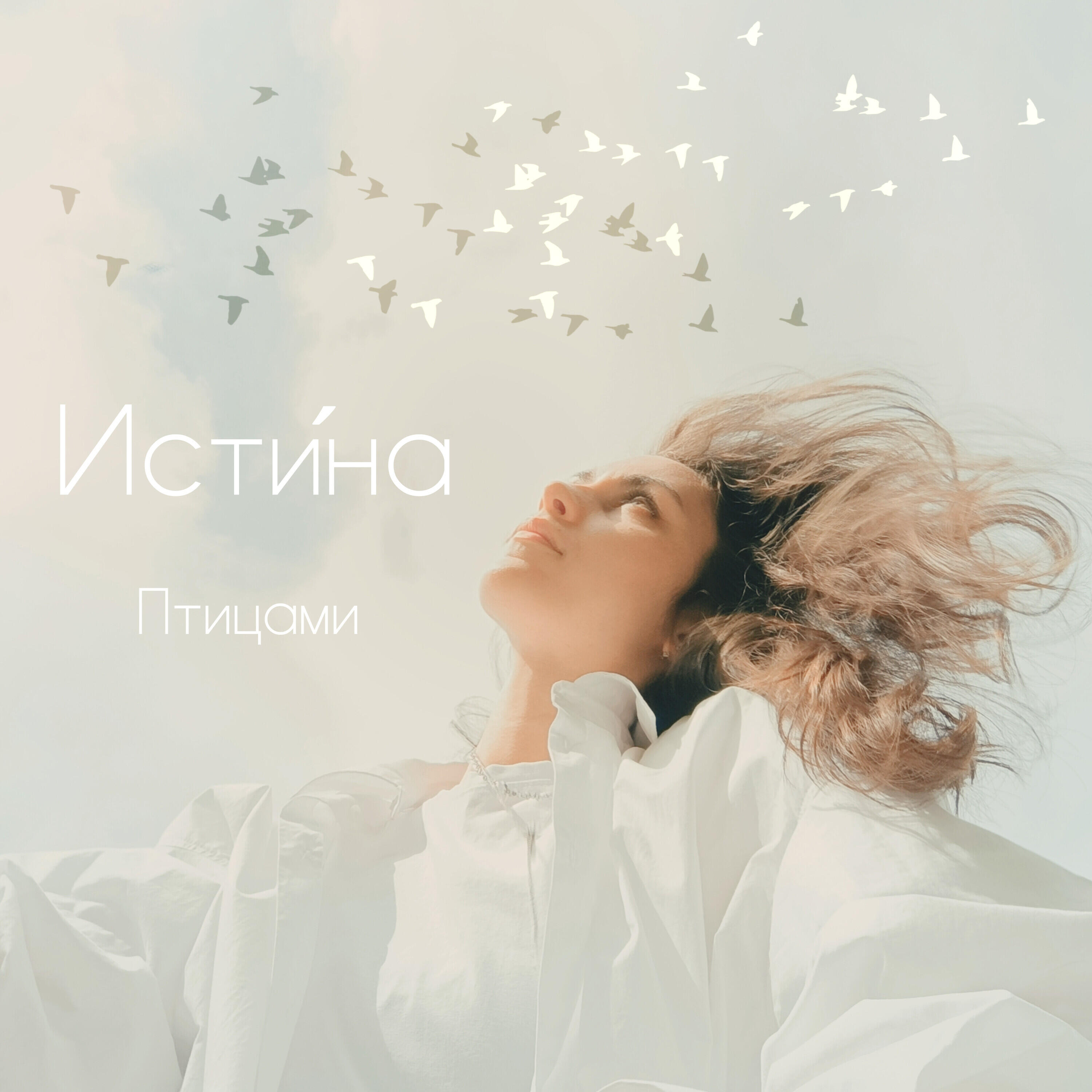 Релиз Птицами