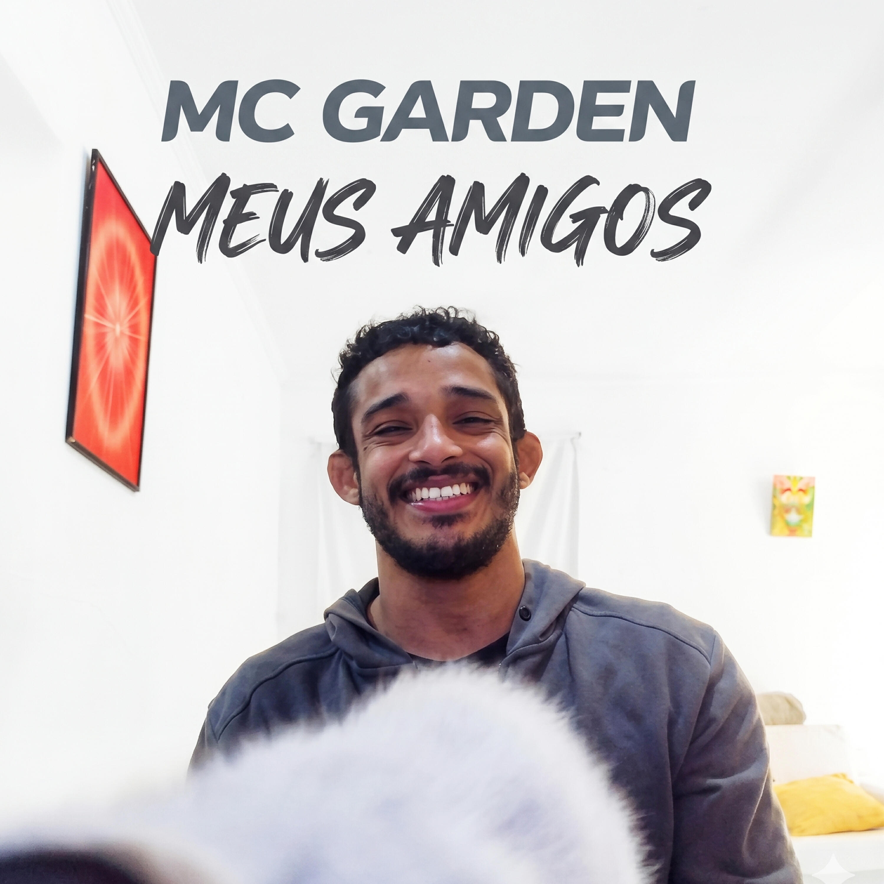 Релиз Meus Amigos