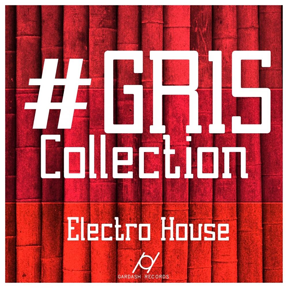 Релиз GR 15 Collection Electro House