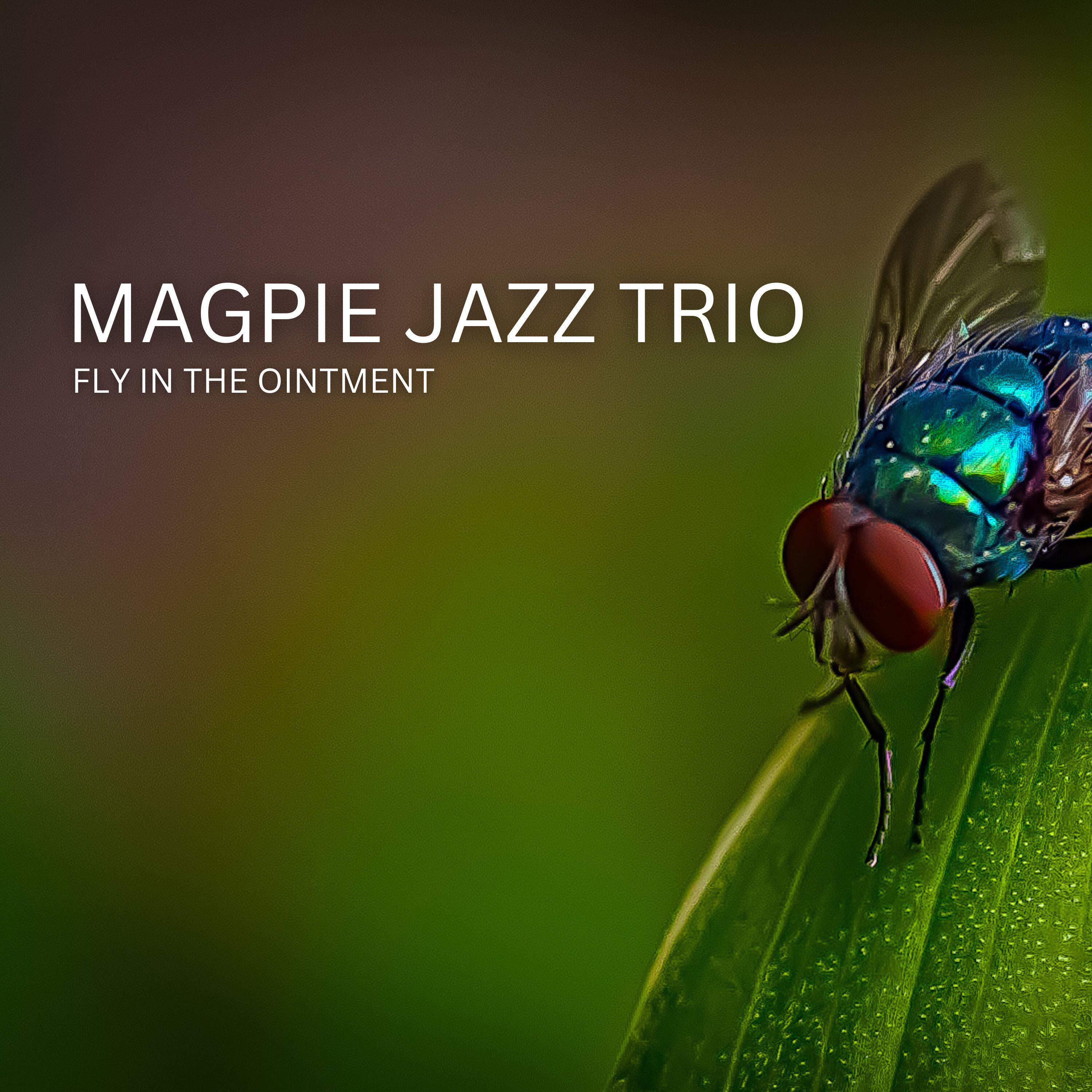 Релиз Fly In The Ointment