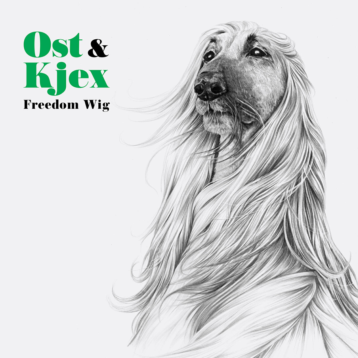 Релиз Freedom Wig