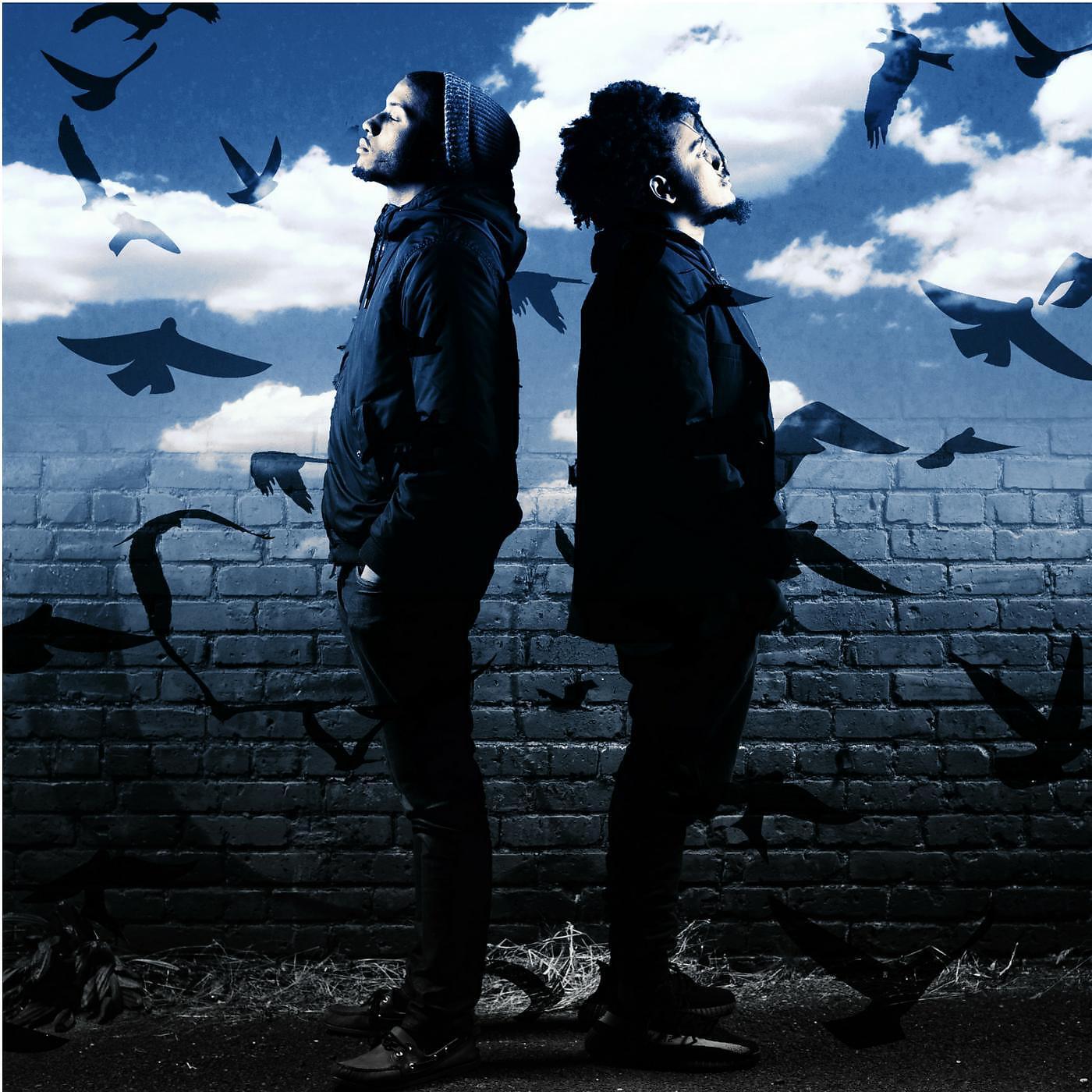 Релиз Birds (feat. Ryan Easter)