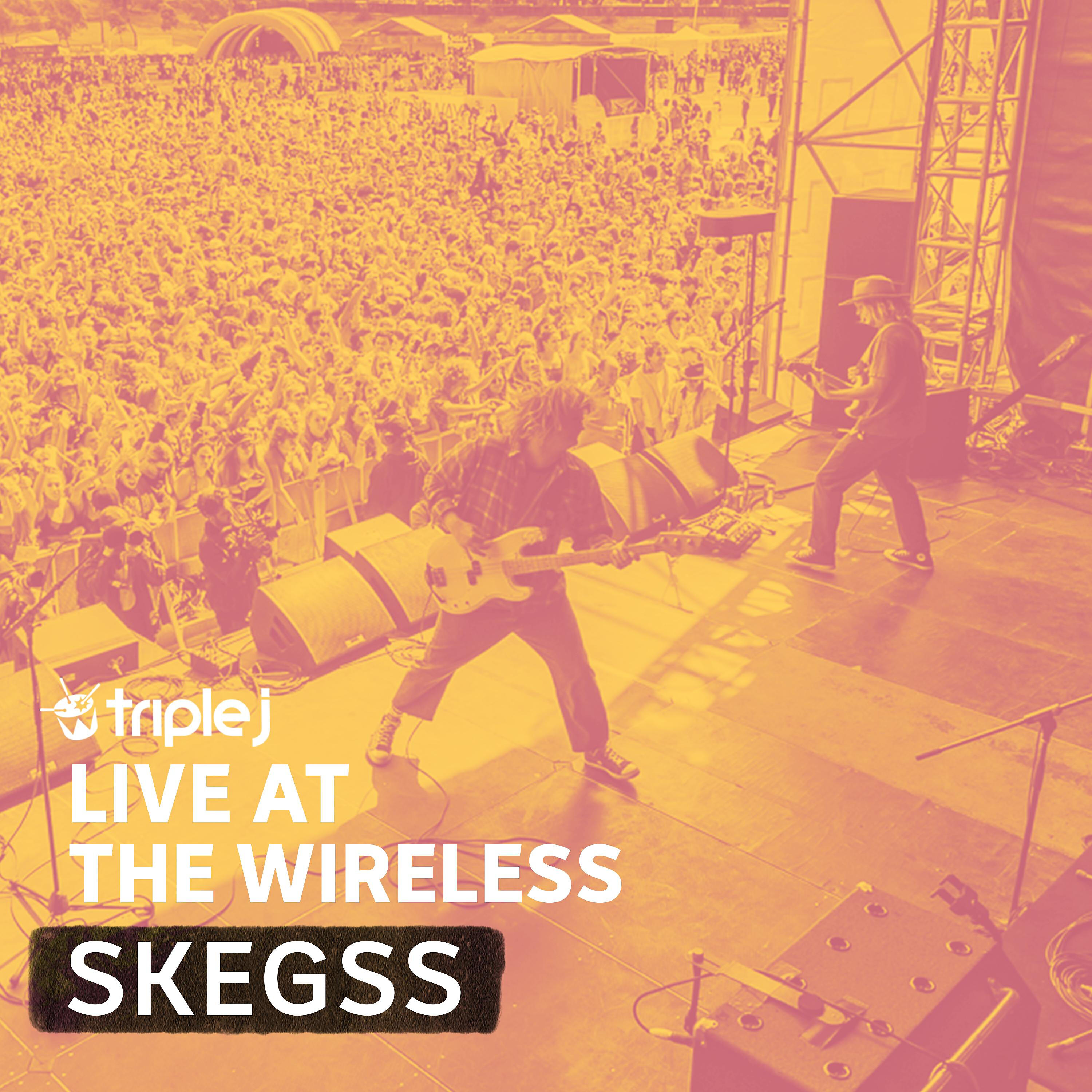Релиз Triple J Live at the Wireless - Laneway 2019