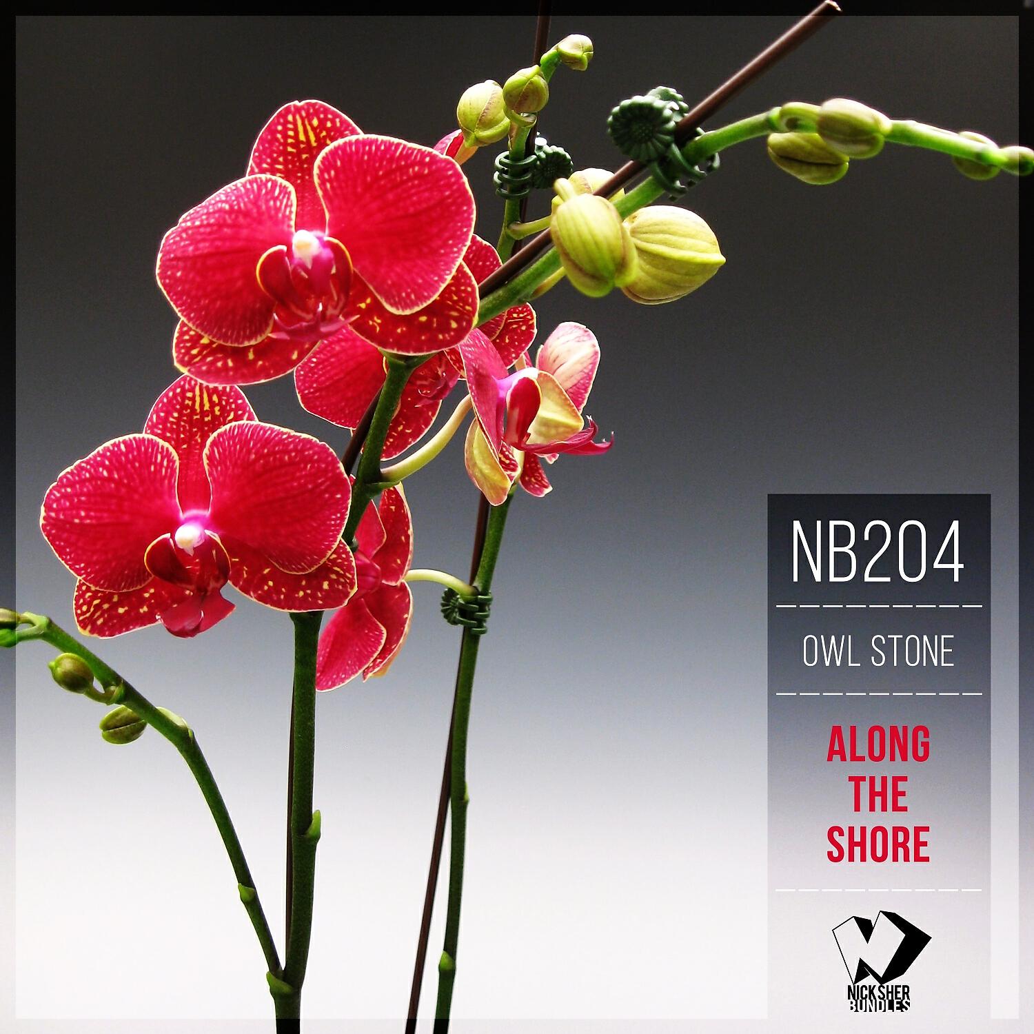 Релиз Along the Shore