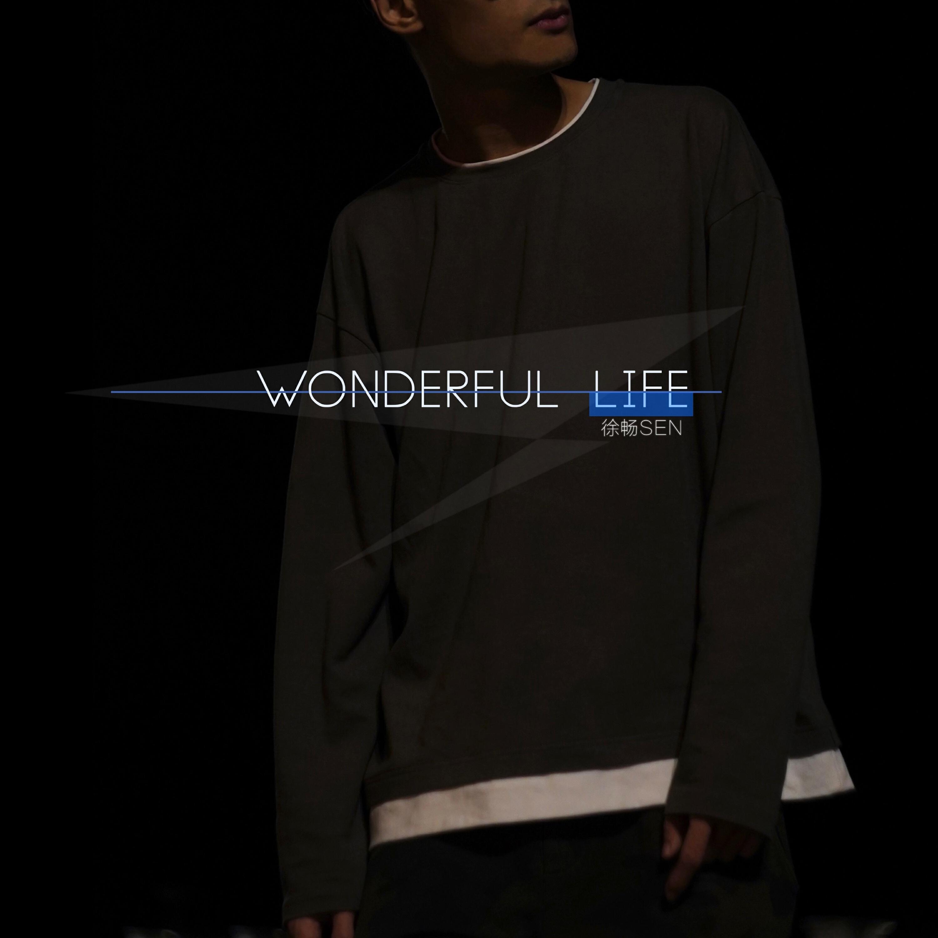 Релиз Wonderful Life
