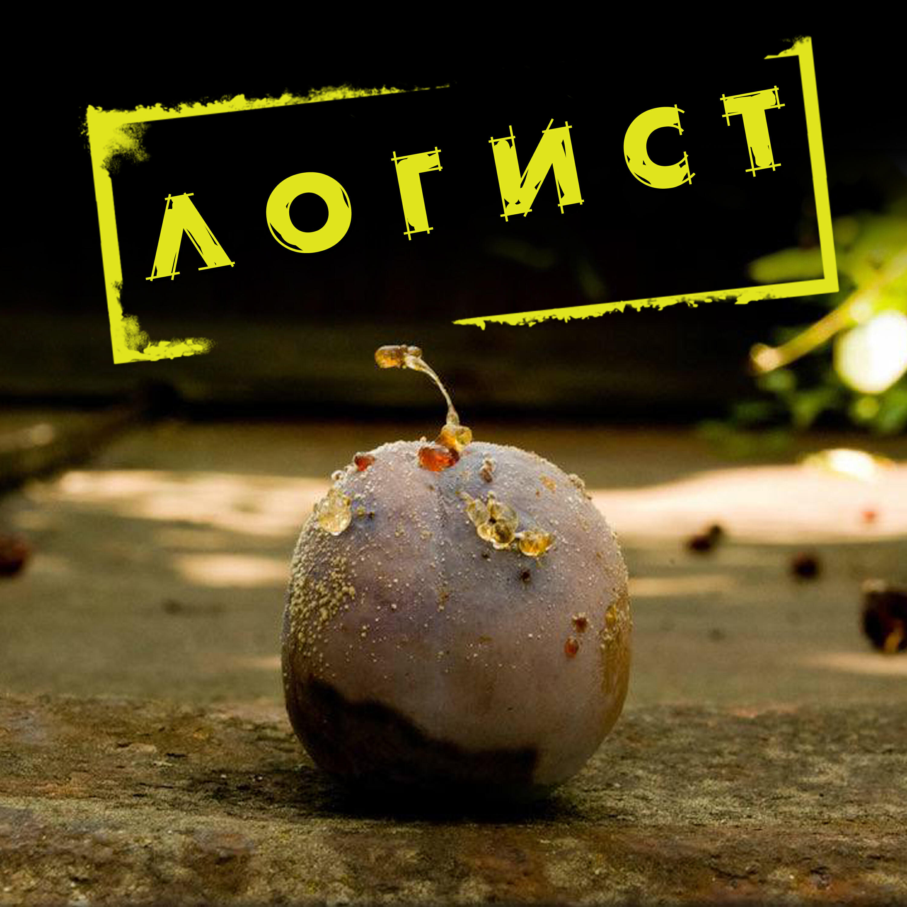 Релиз Логист