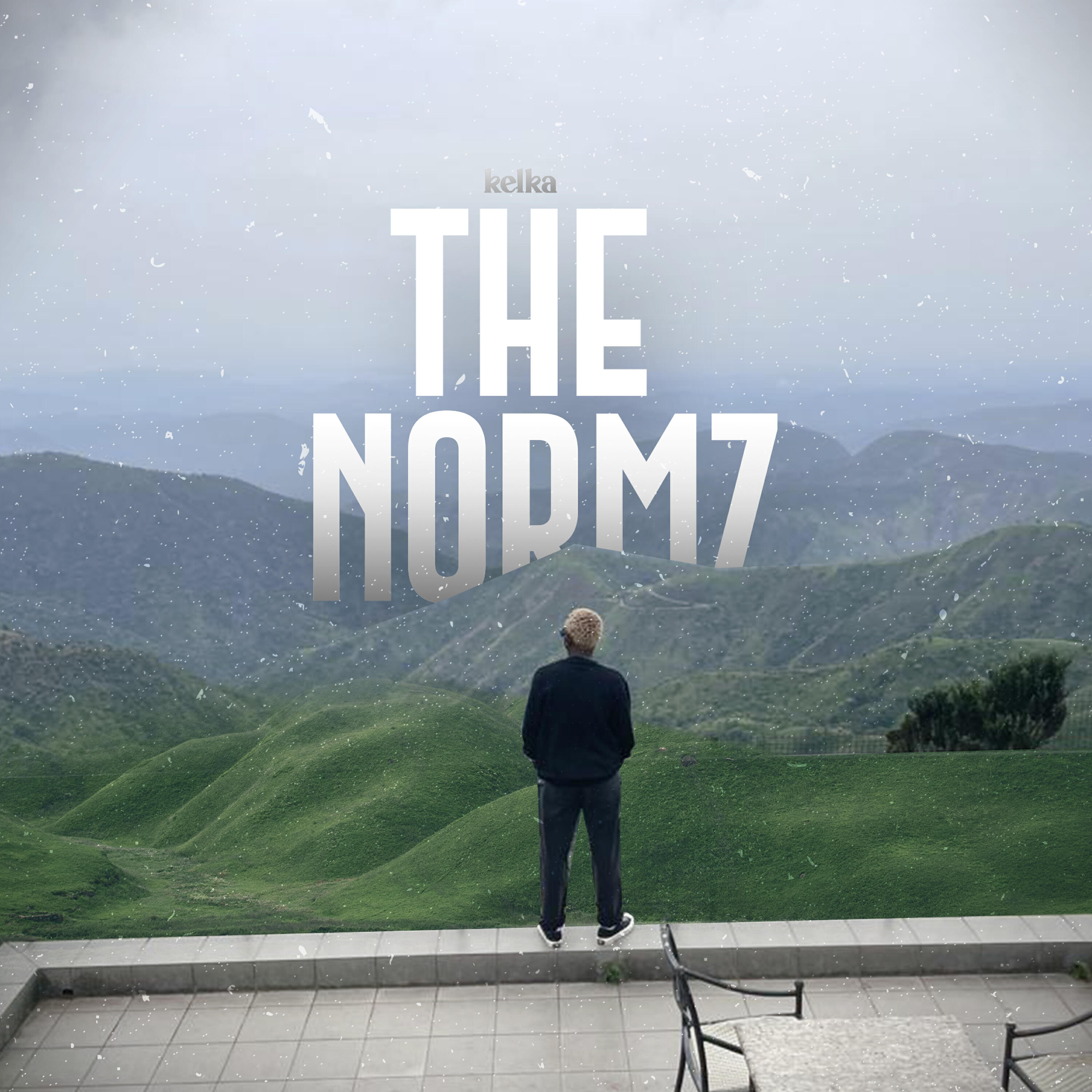 Релиз The Normz