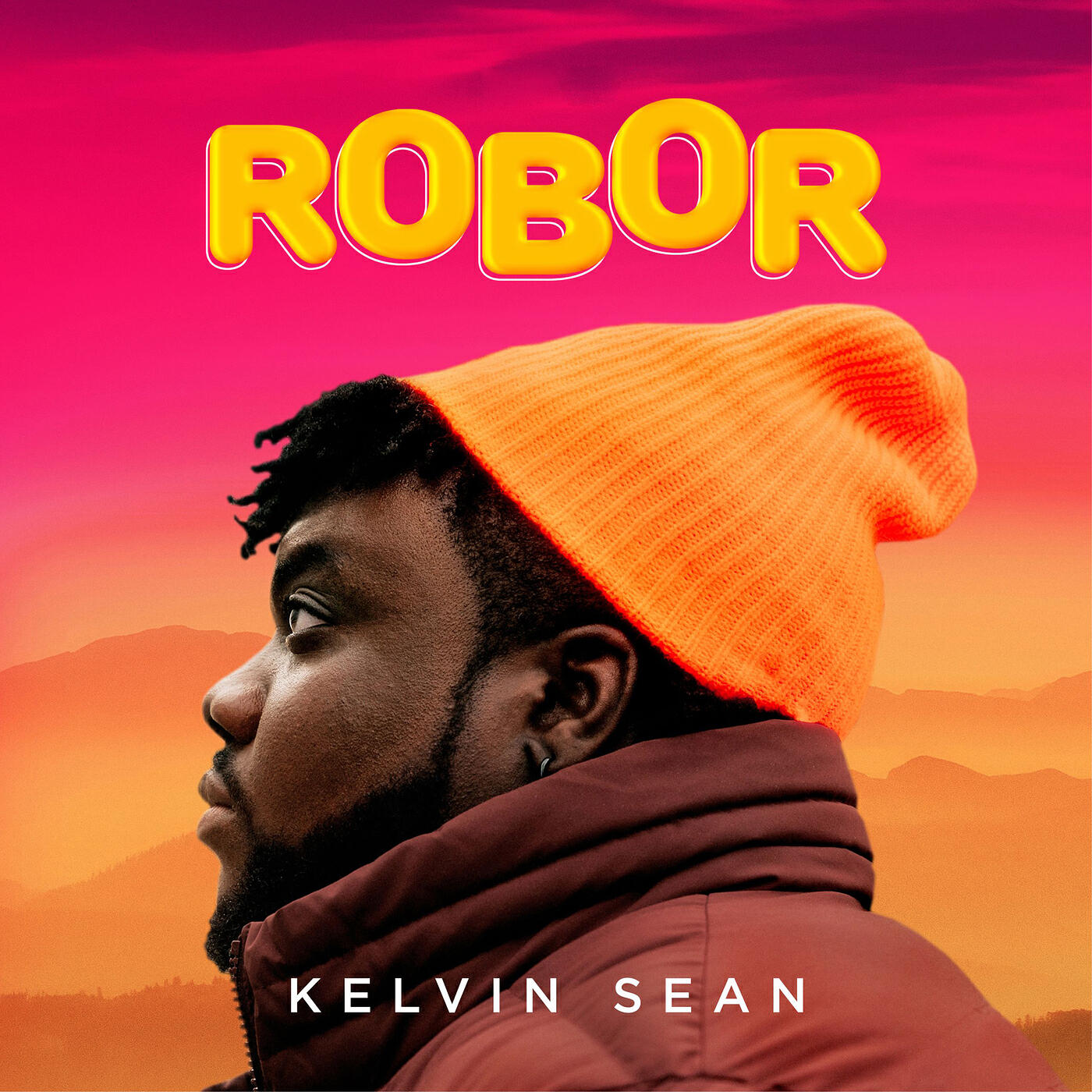 Релиз Robor