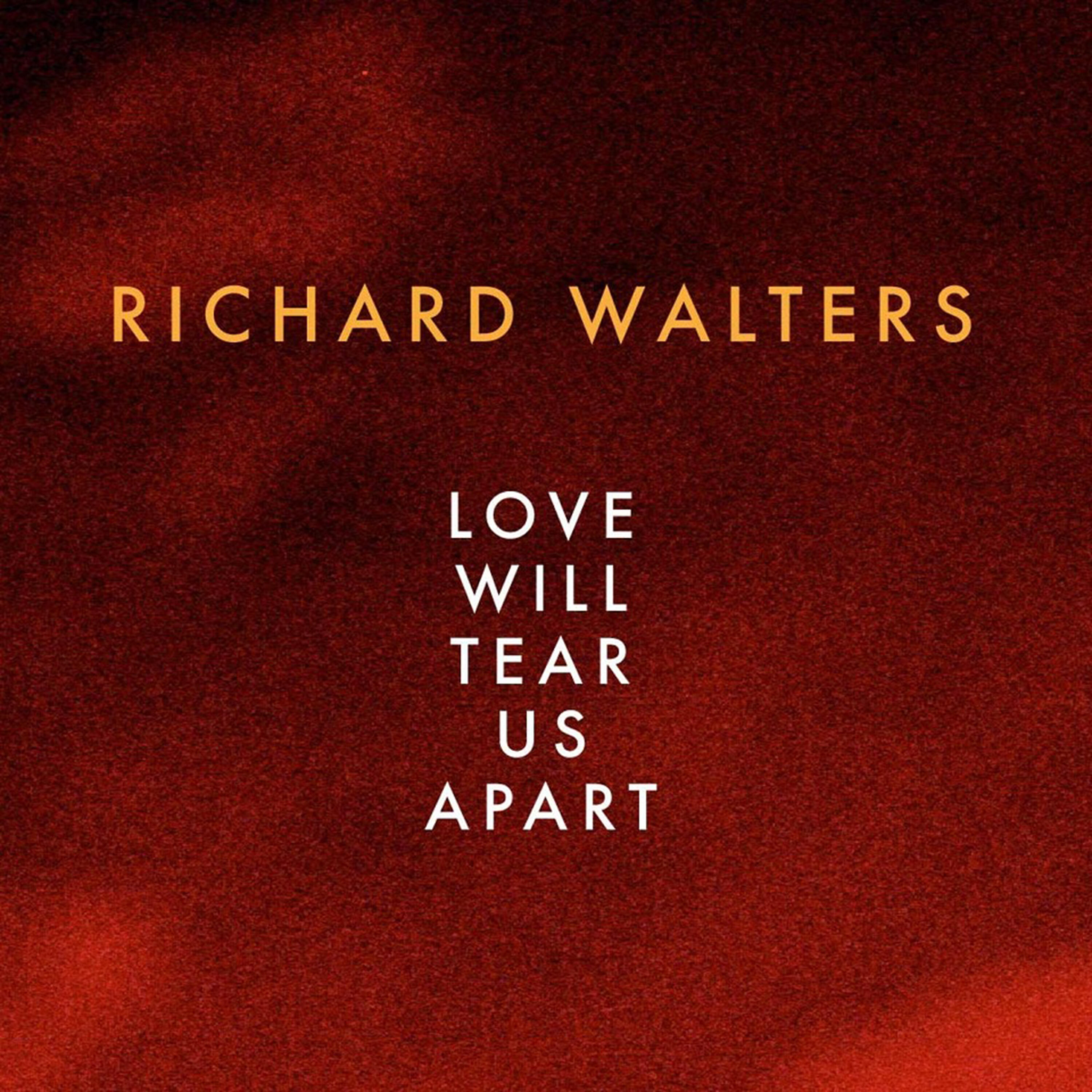 Релиз Love Will Tear Us Apart