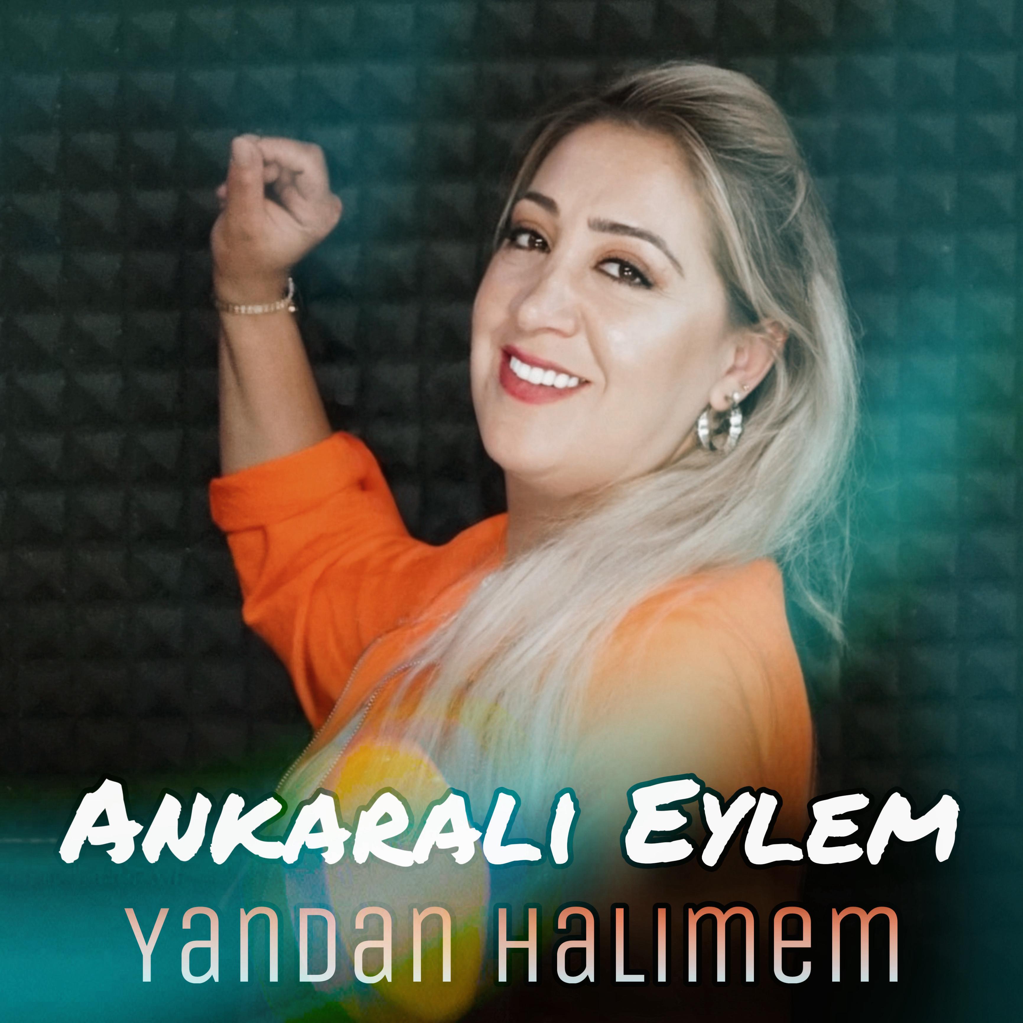 Релиз Yandan Halimem
