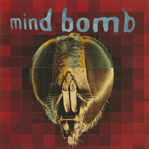 Релиз Mind Bomb