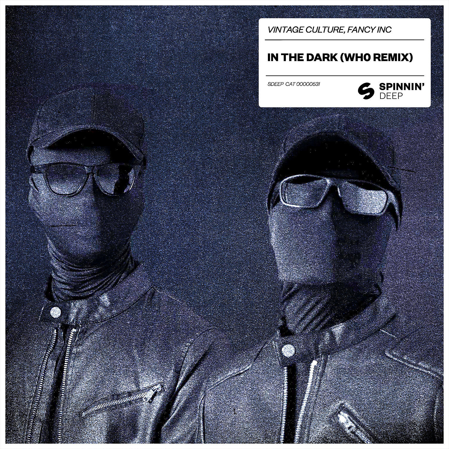 Релиз In The Dark (Wh0 Remix)