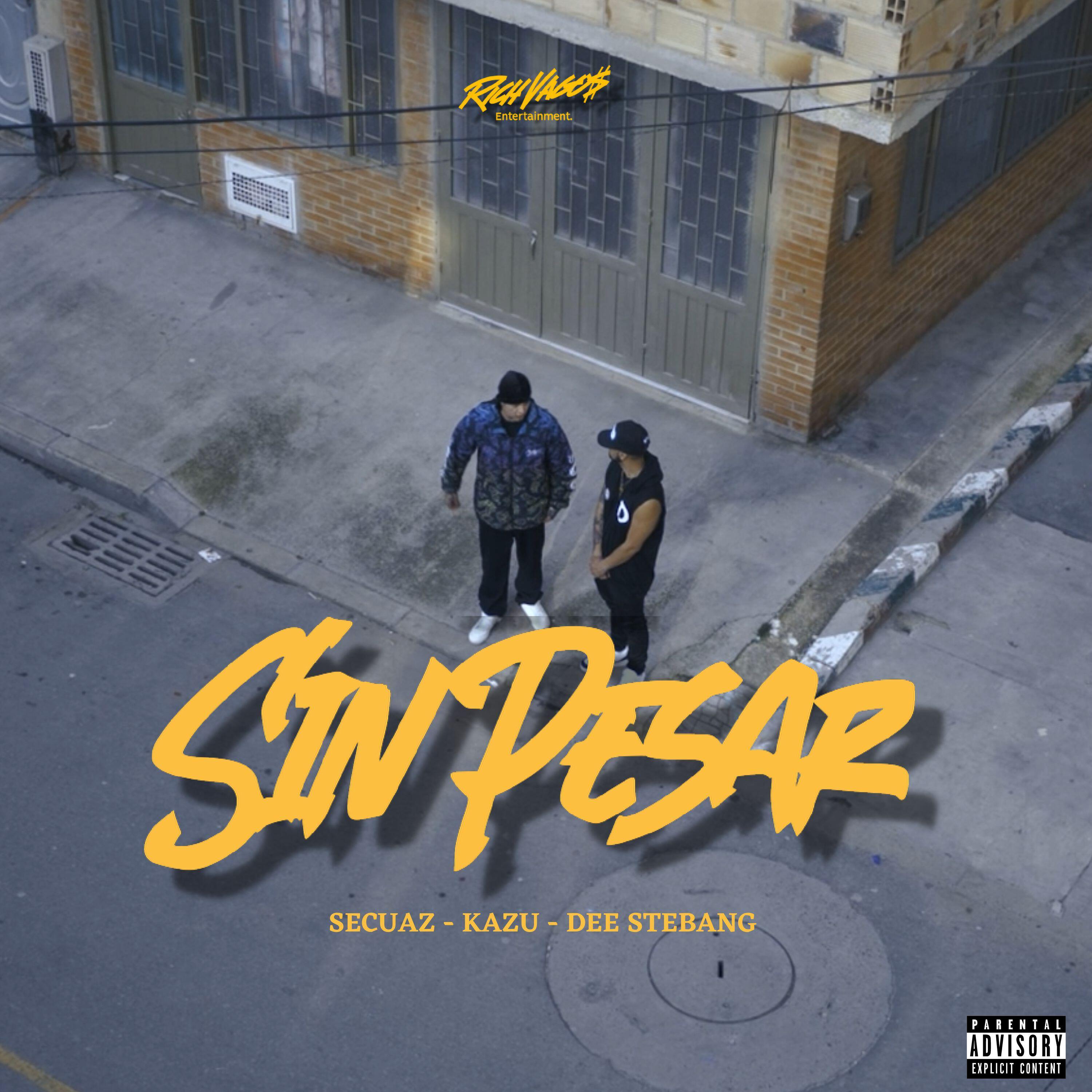 Релиз Sin Pesar