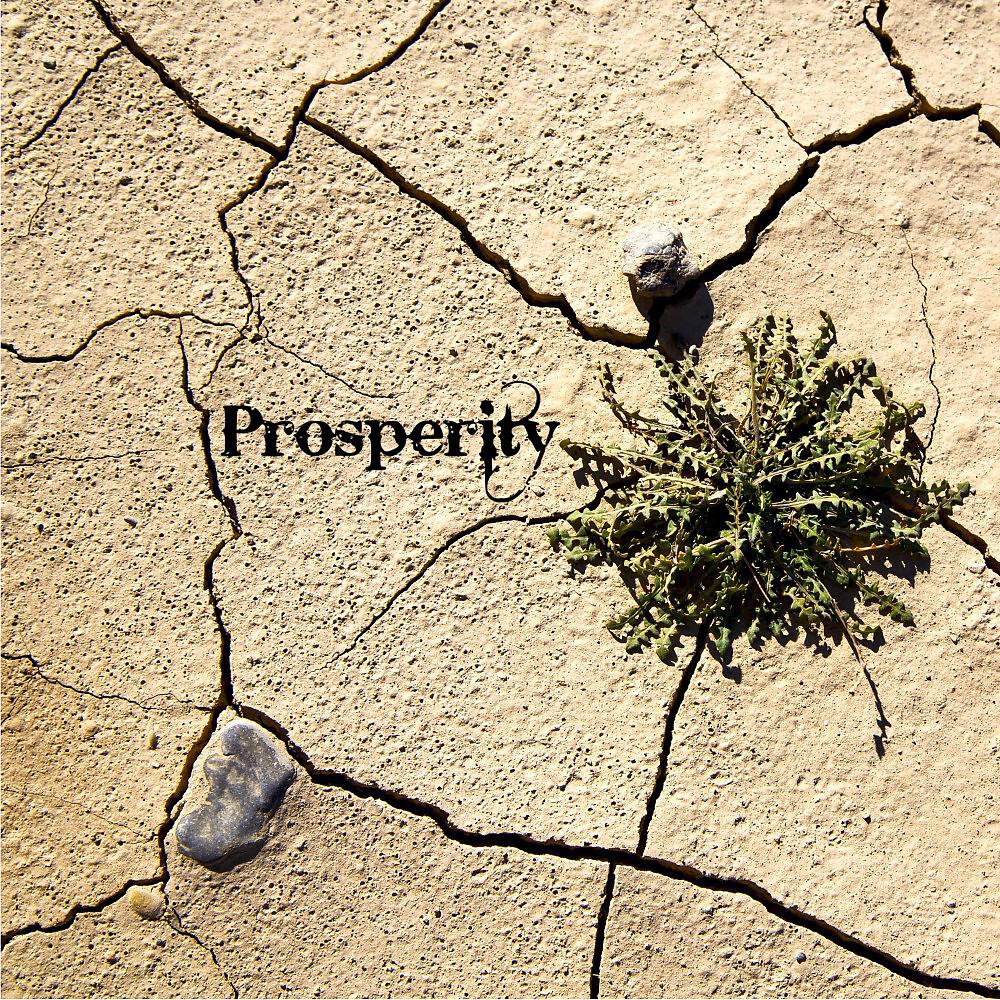 Релиз Prosperity