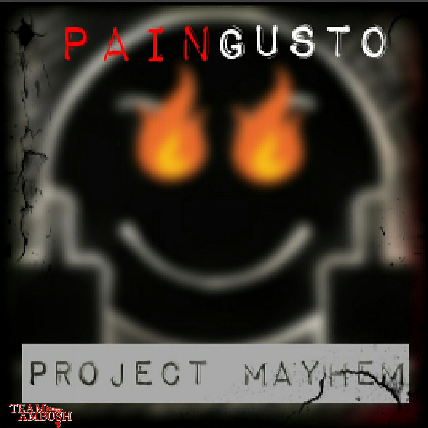 Релиз Project Mayhem