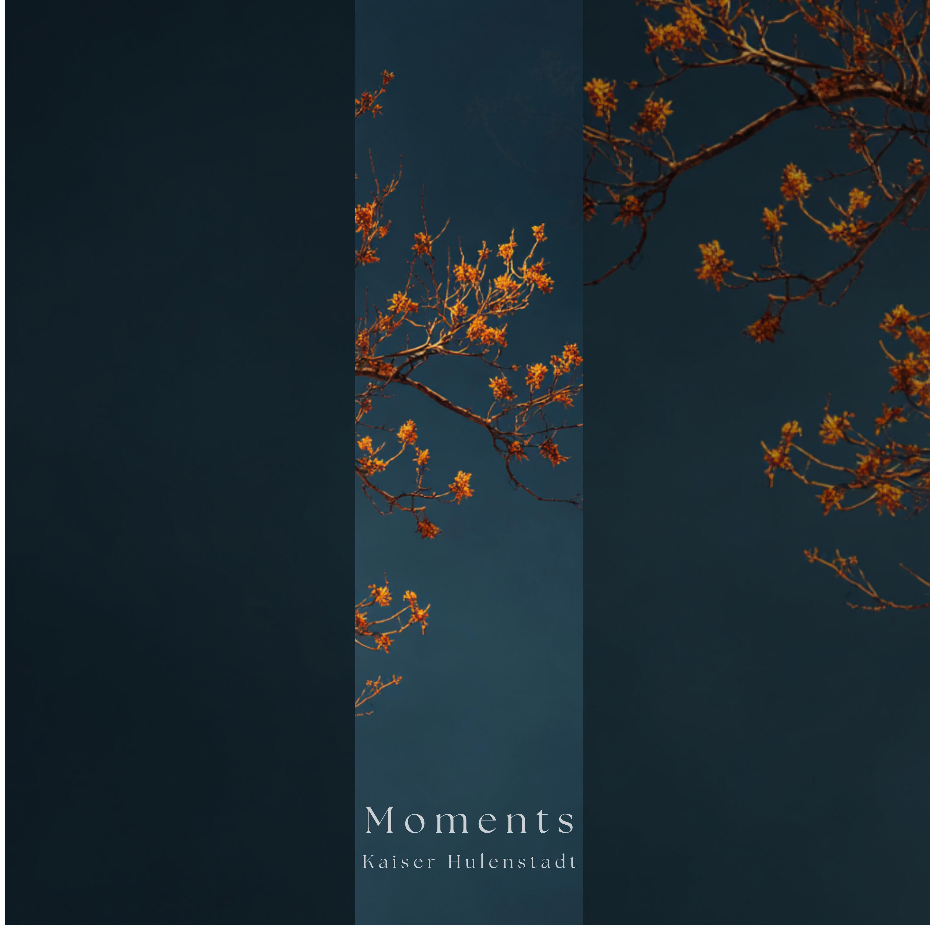 Релиз Moments