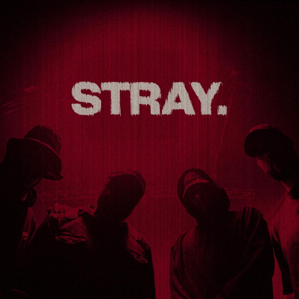 Релиз stray.